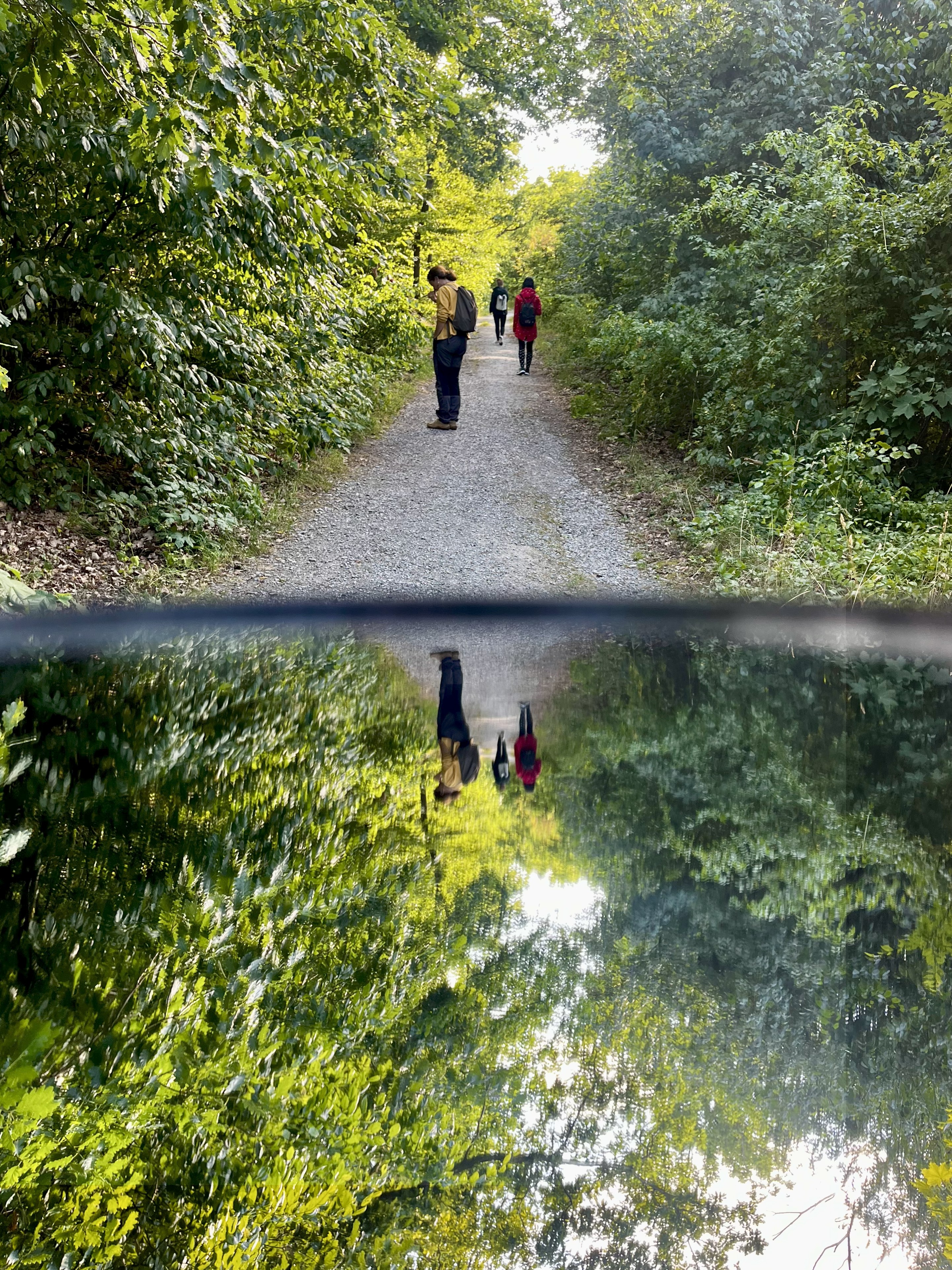 Die Kraft der Natur - Waldbaden, Kneipp & Wildkräuter im Jungborn