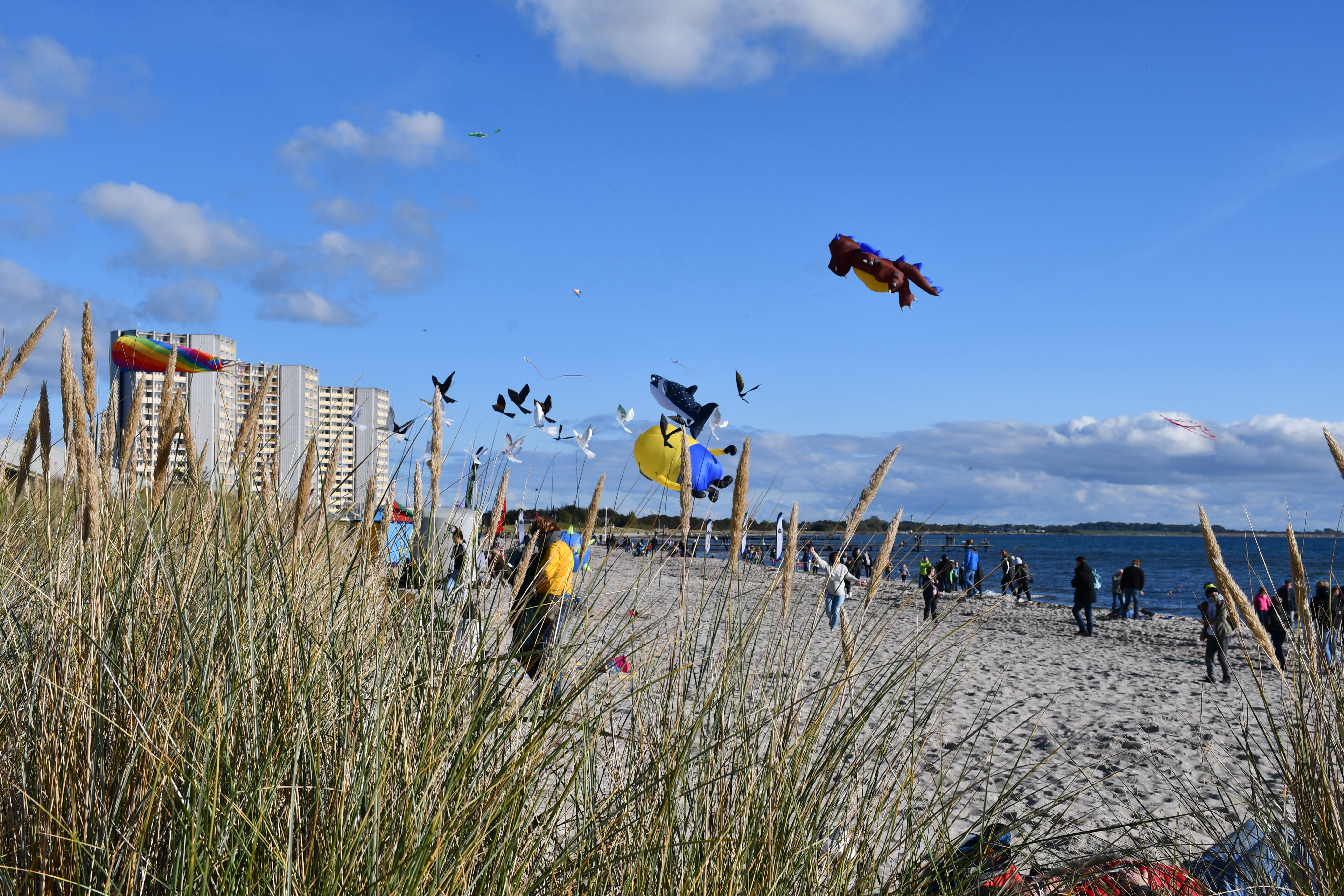 Drachenfest Fehmarn