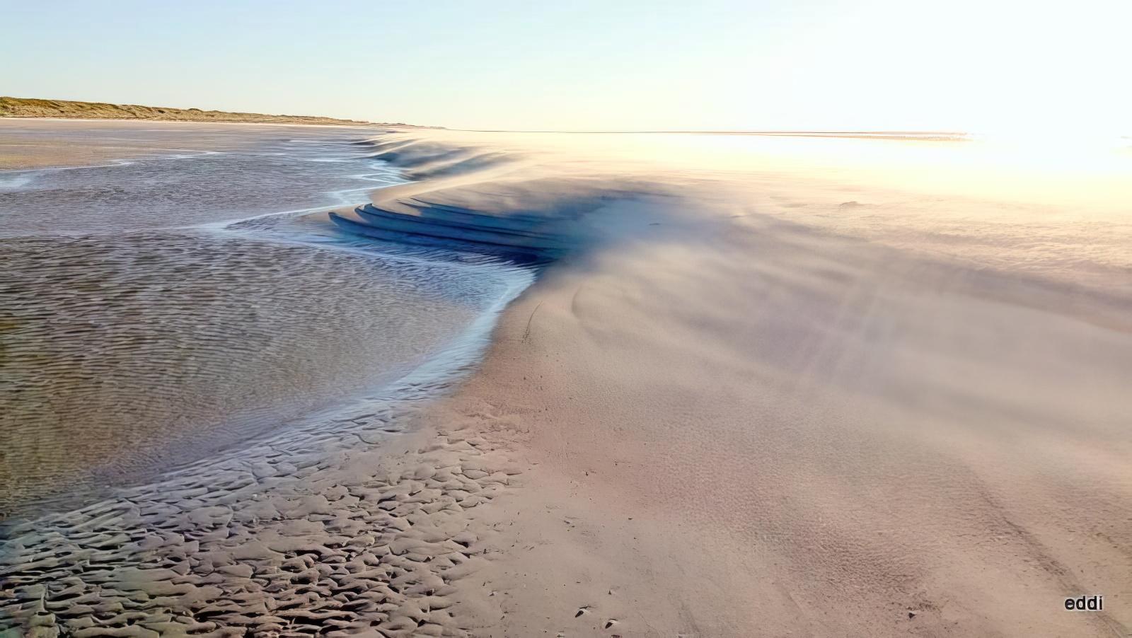 Strand 2018