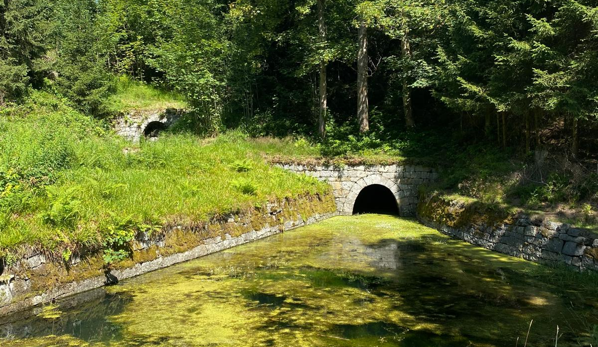 Wo Wasser rückwärts fließt