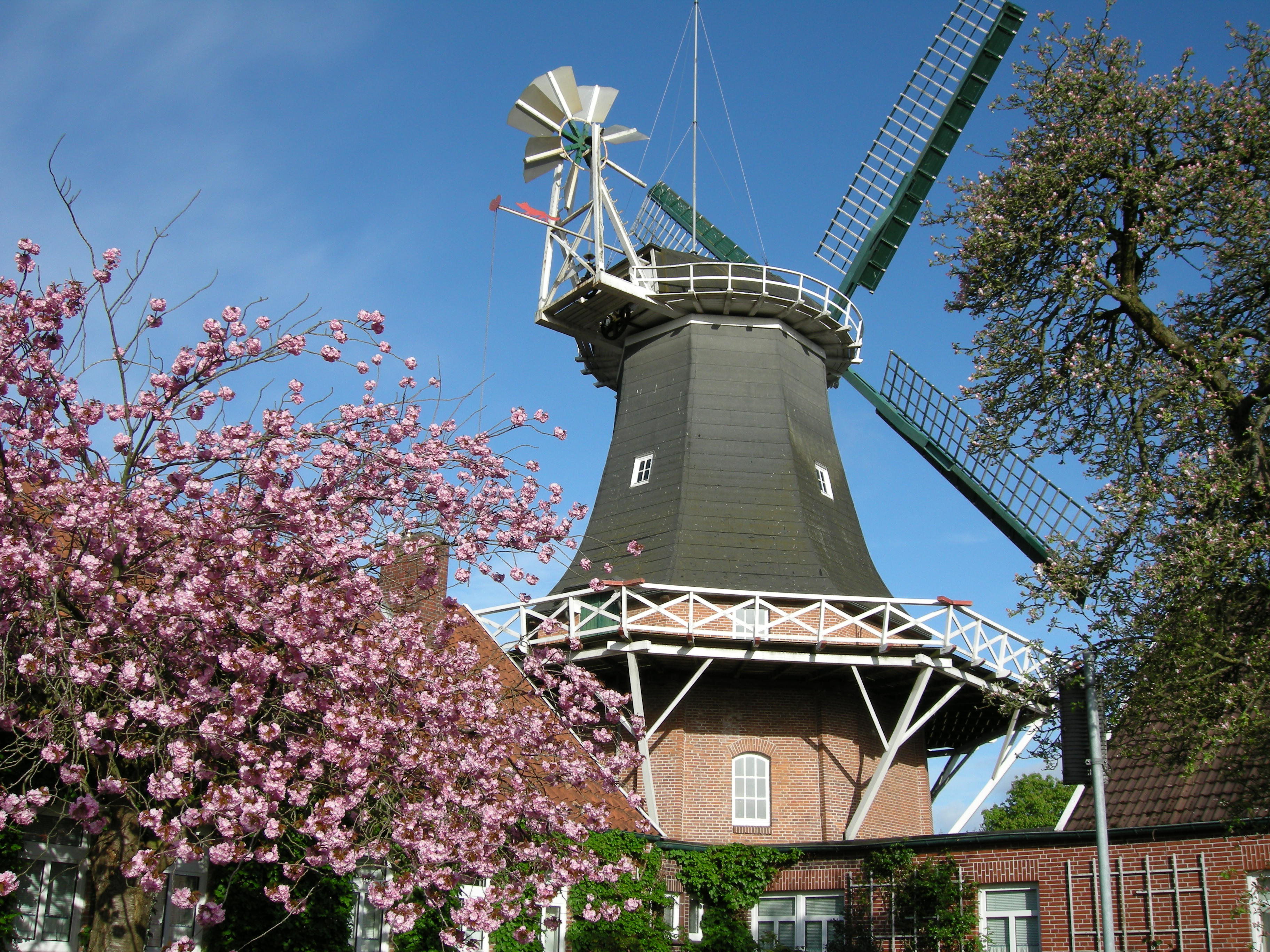 Museumsf&uuml;hrung