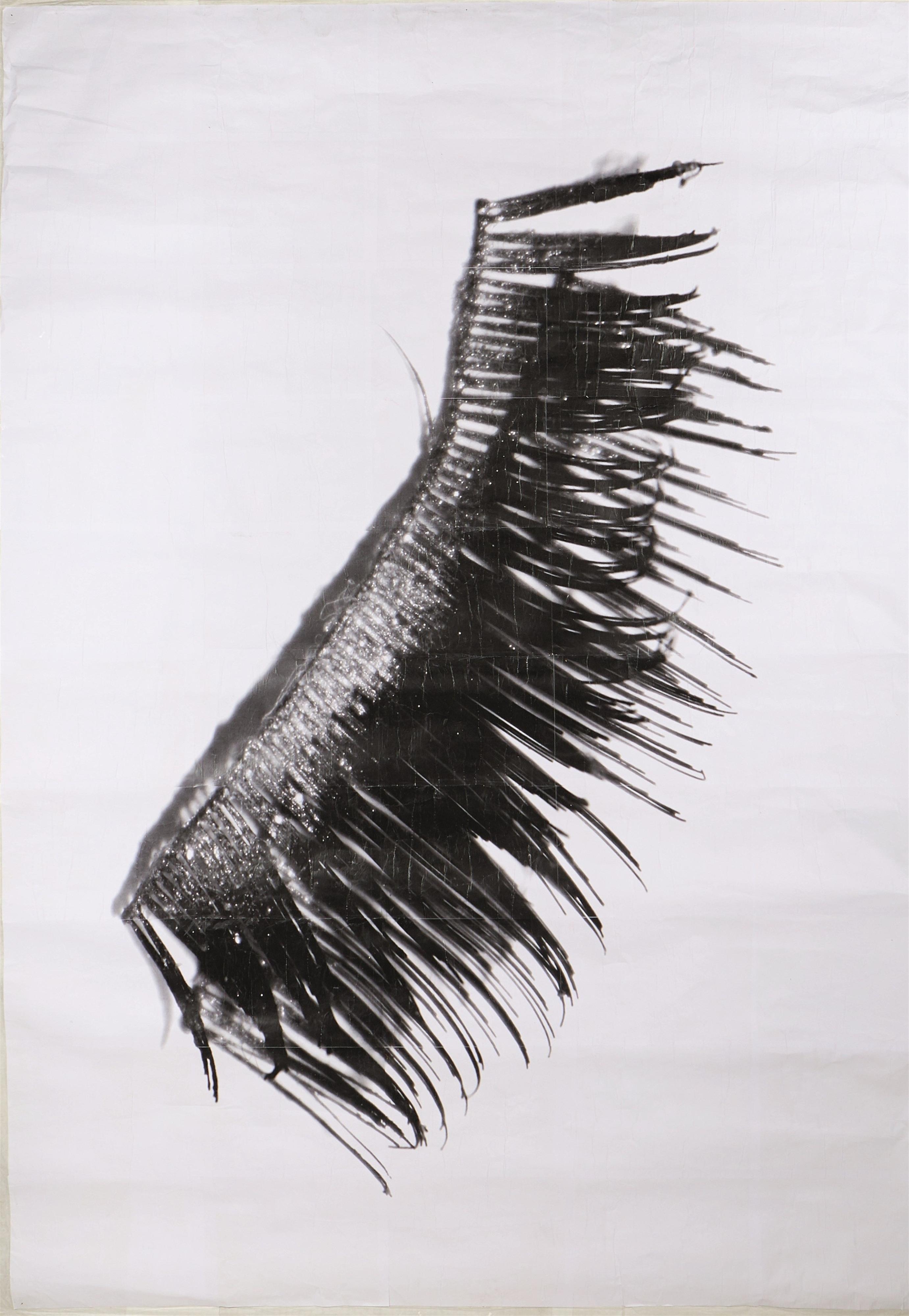 Die Augen des Schlosses
