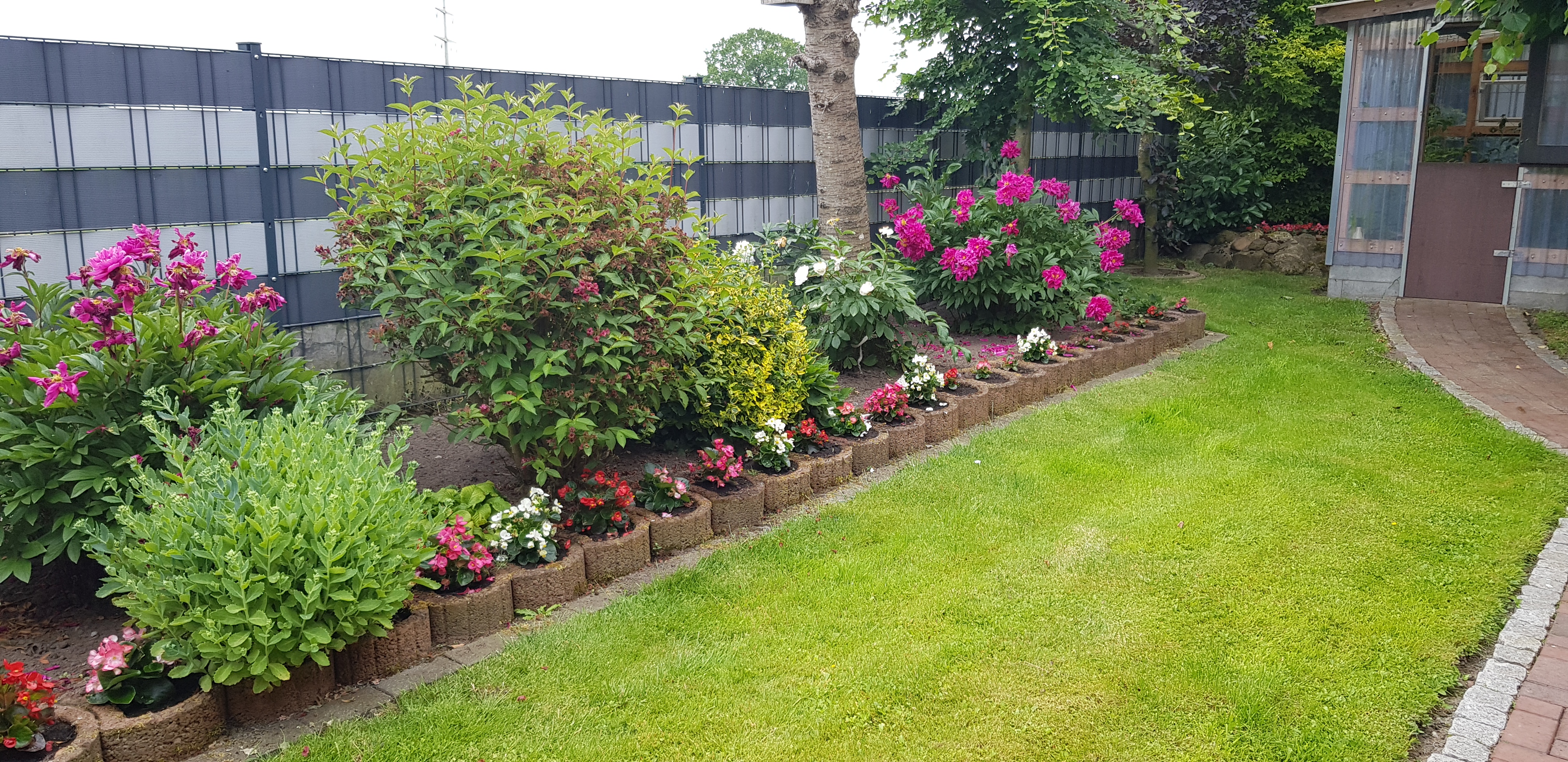 Seitliche Gartenansicht