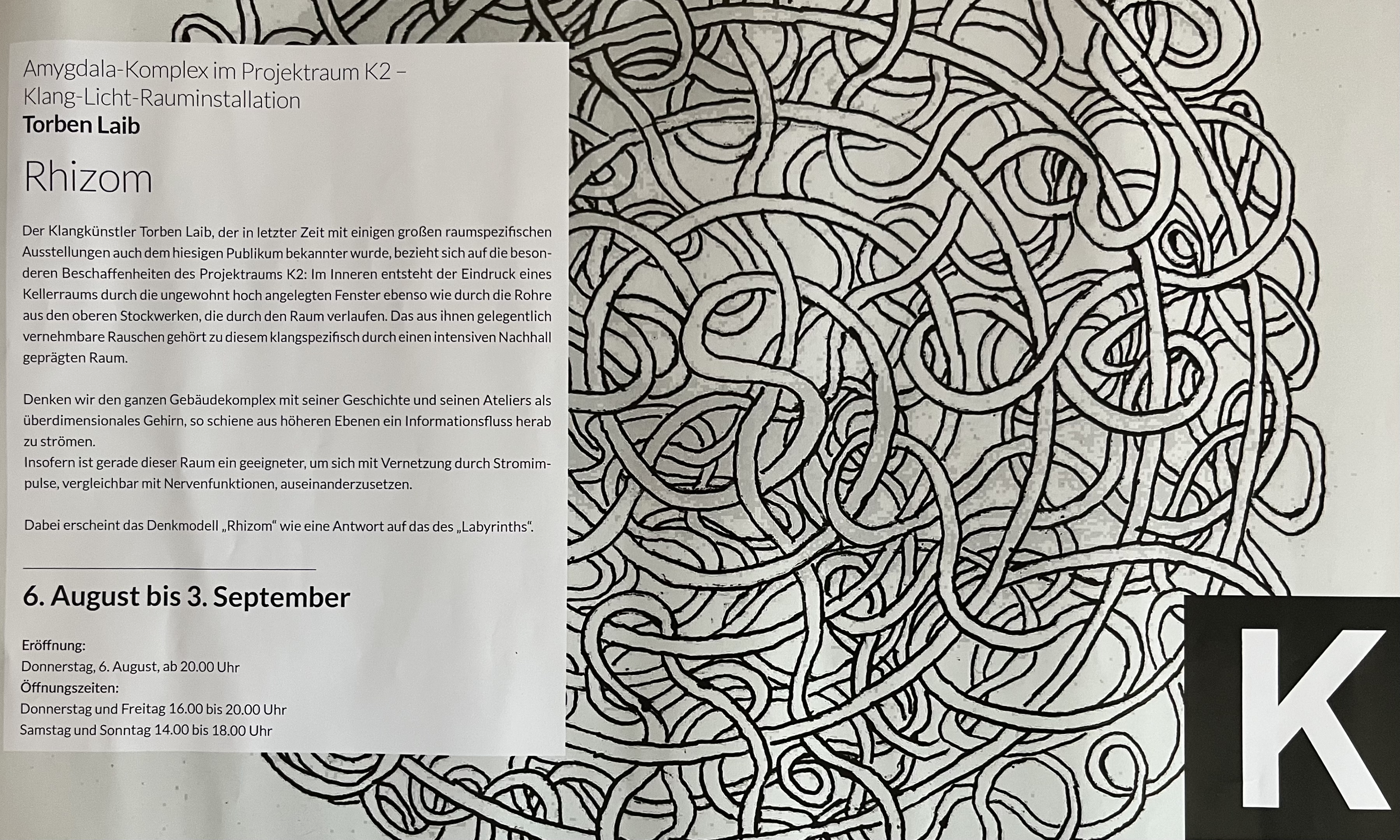 Amygdala-Komplex / Parallele im Projektraum K2 - Rhizom. Torben Laib