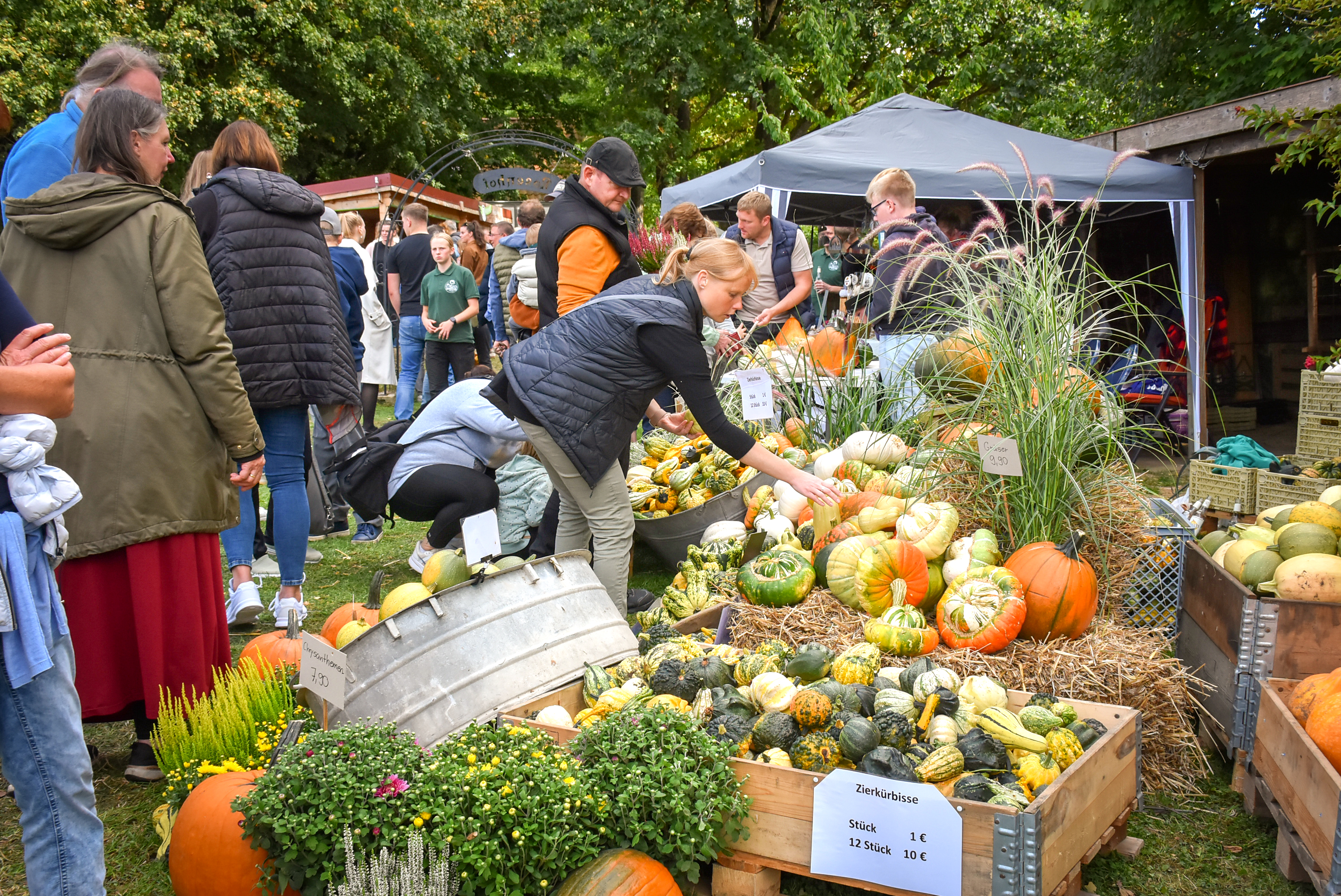 Gemüsebauer Sörens Kürbisfest