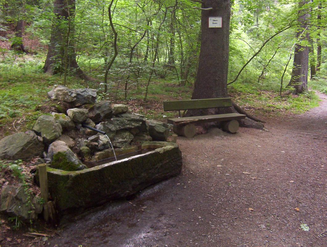 Von Bad Harzburg durch den Nationalpark Harz