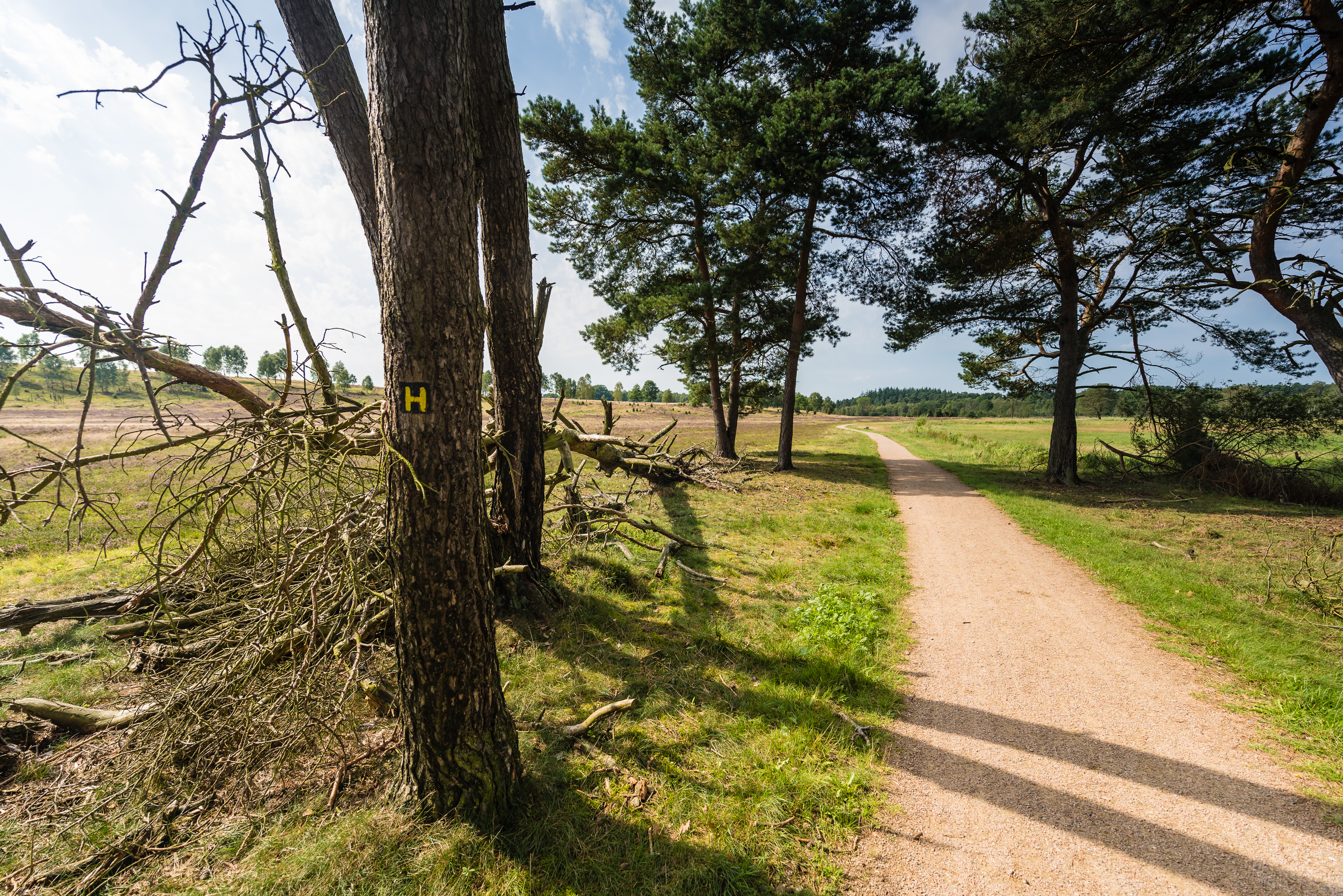 Rund um die Haverbeeke