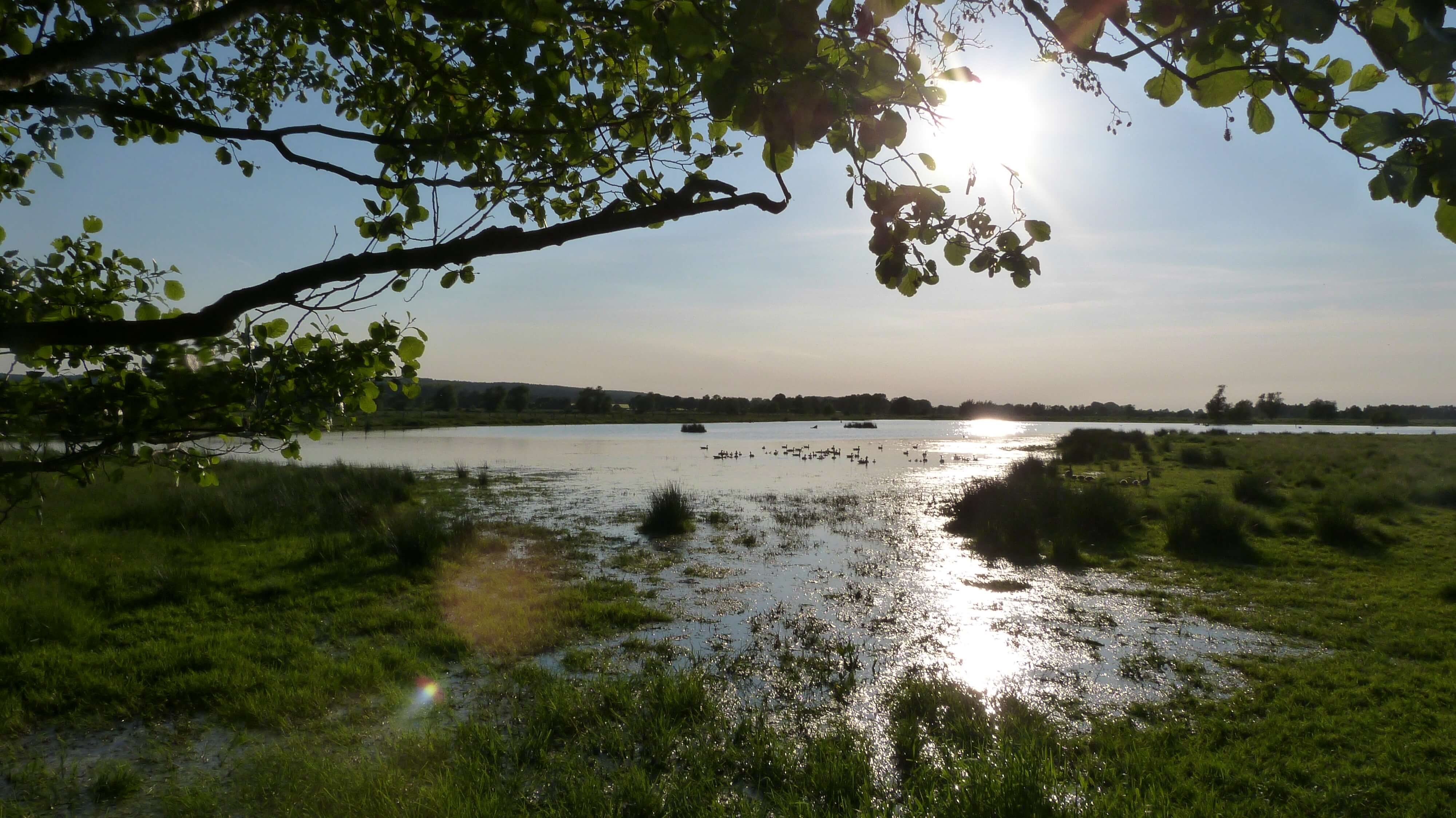 Steinhuder Meer Cycling Path