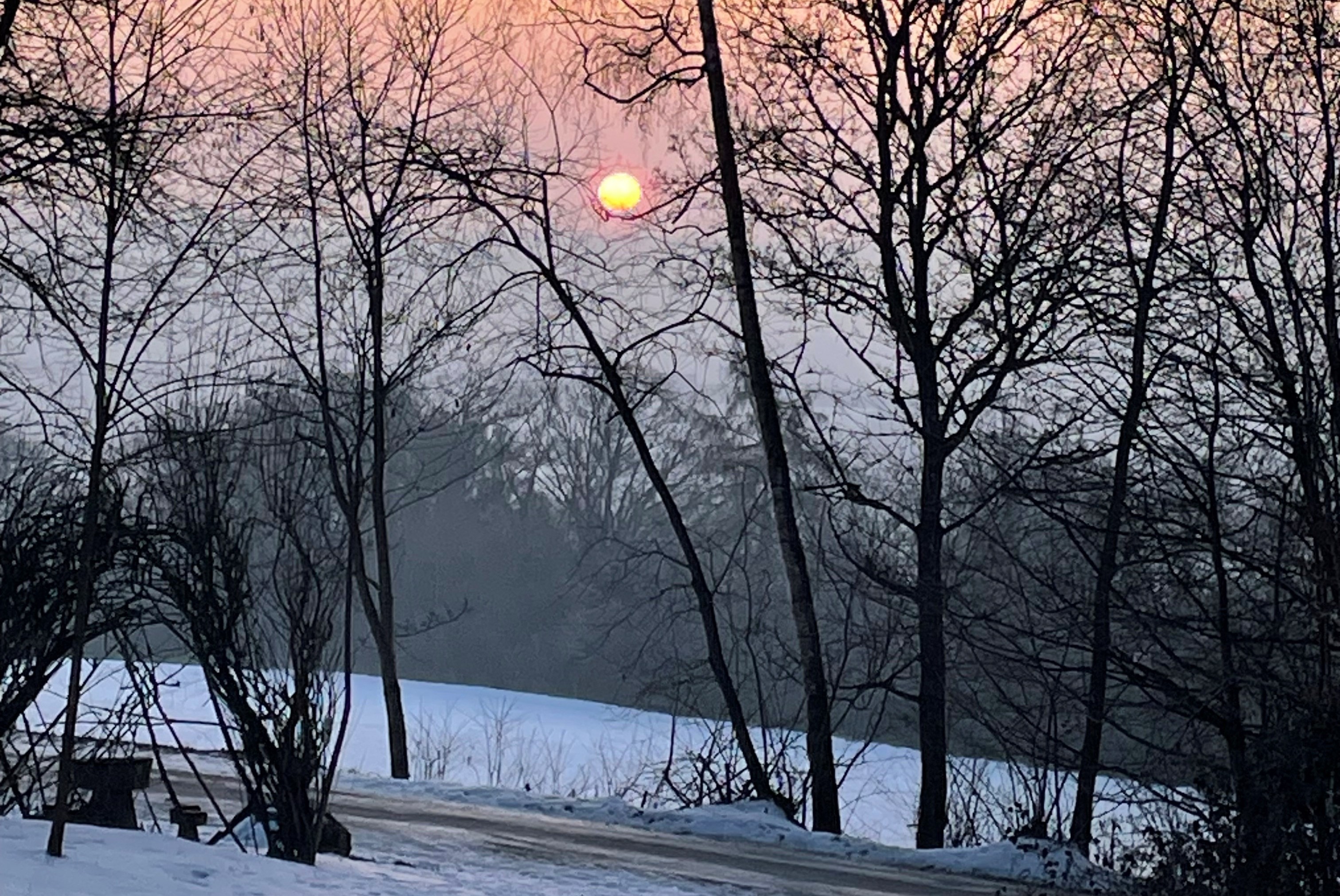 Bäume im Winterkleid – Waldgang für Senioren jeden Alters