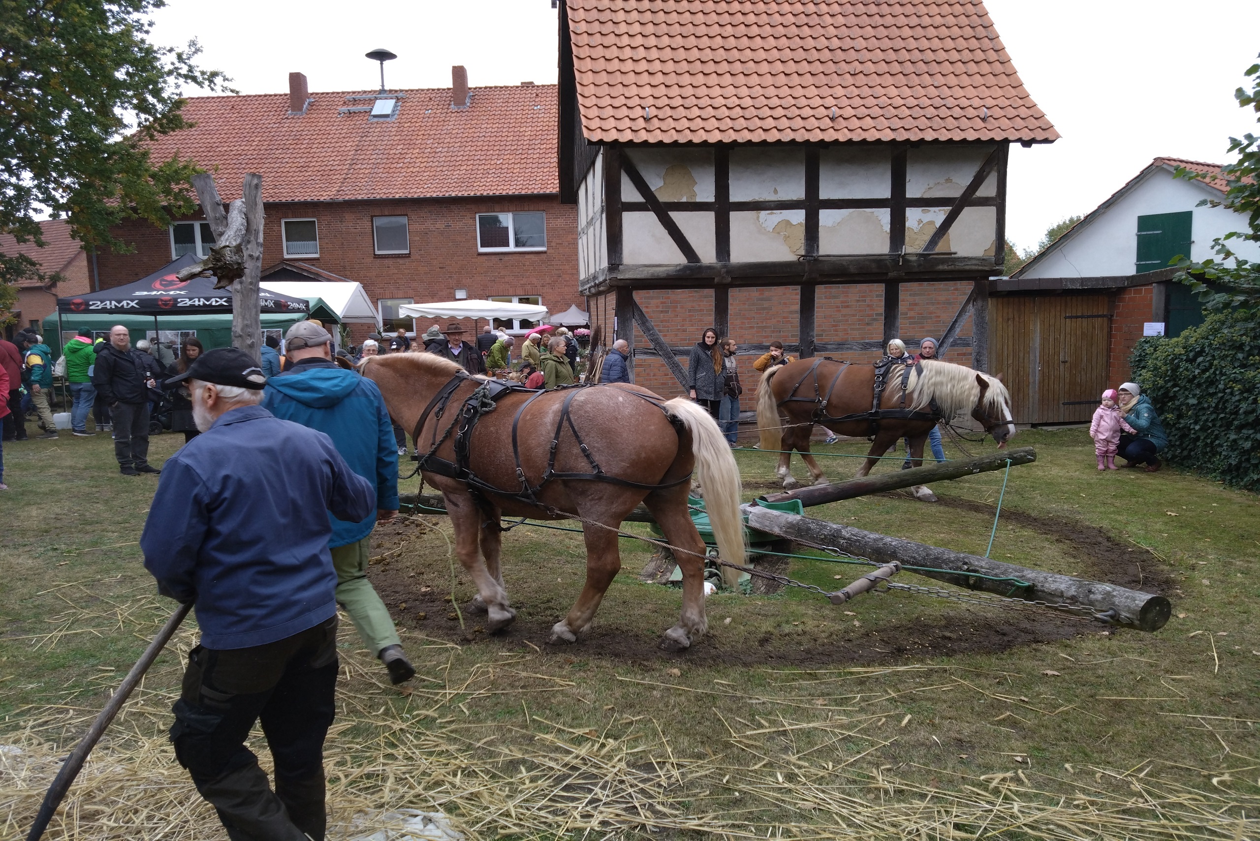 Erntedankfest im Dorfmuseum Langlingen