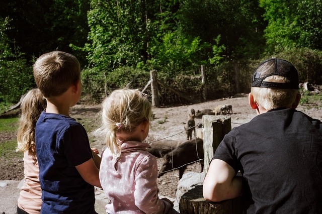 Kinderausflug - Wildschweingatter
