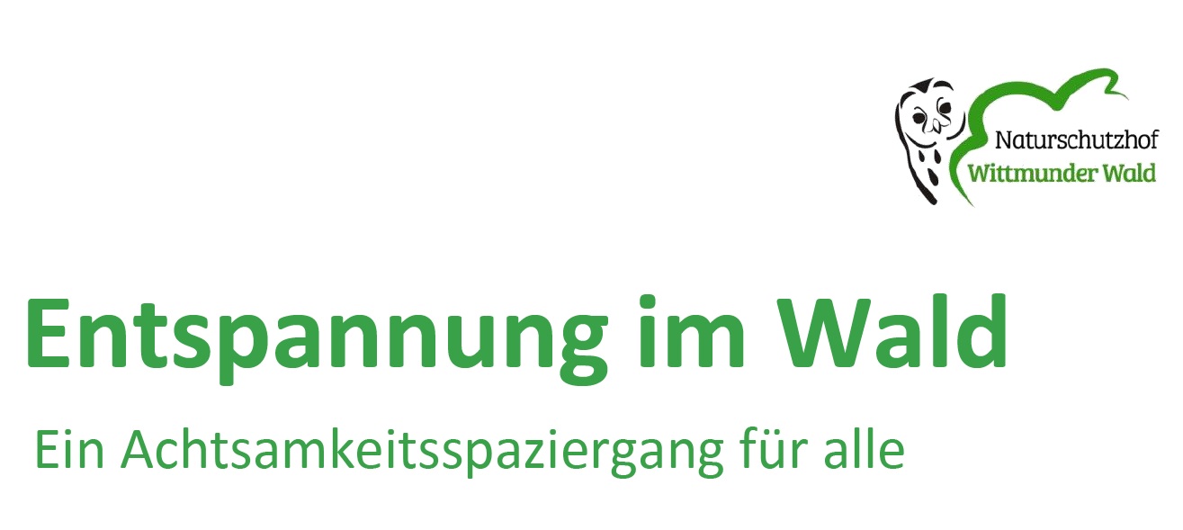 Entspannung im Wald
