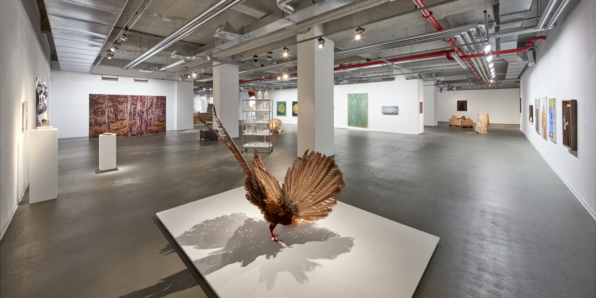 Neue Sächsische Galerie – Motiv