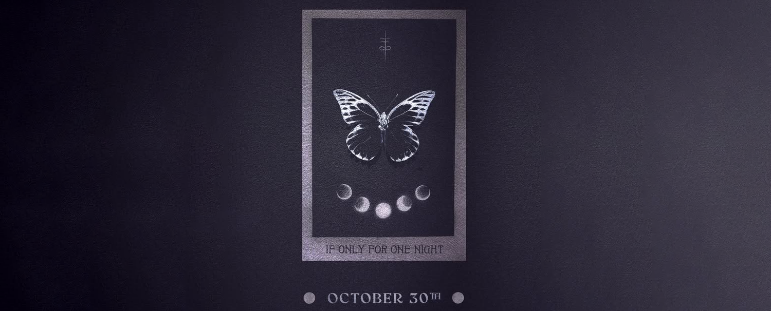 Sumpfblume: Teamortec Halloween