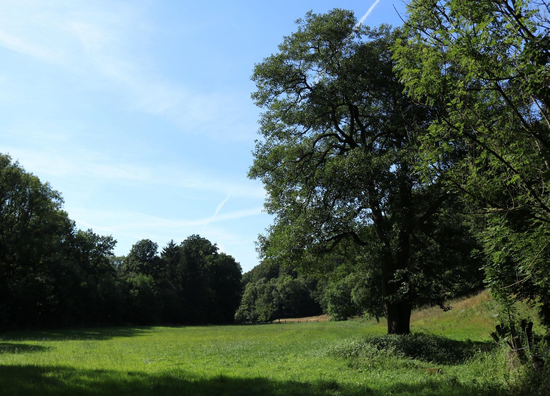 Durch das liebliche Walterbachtal