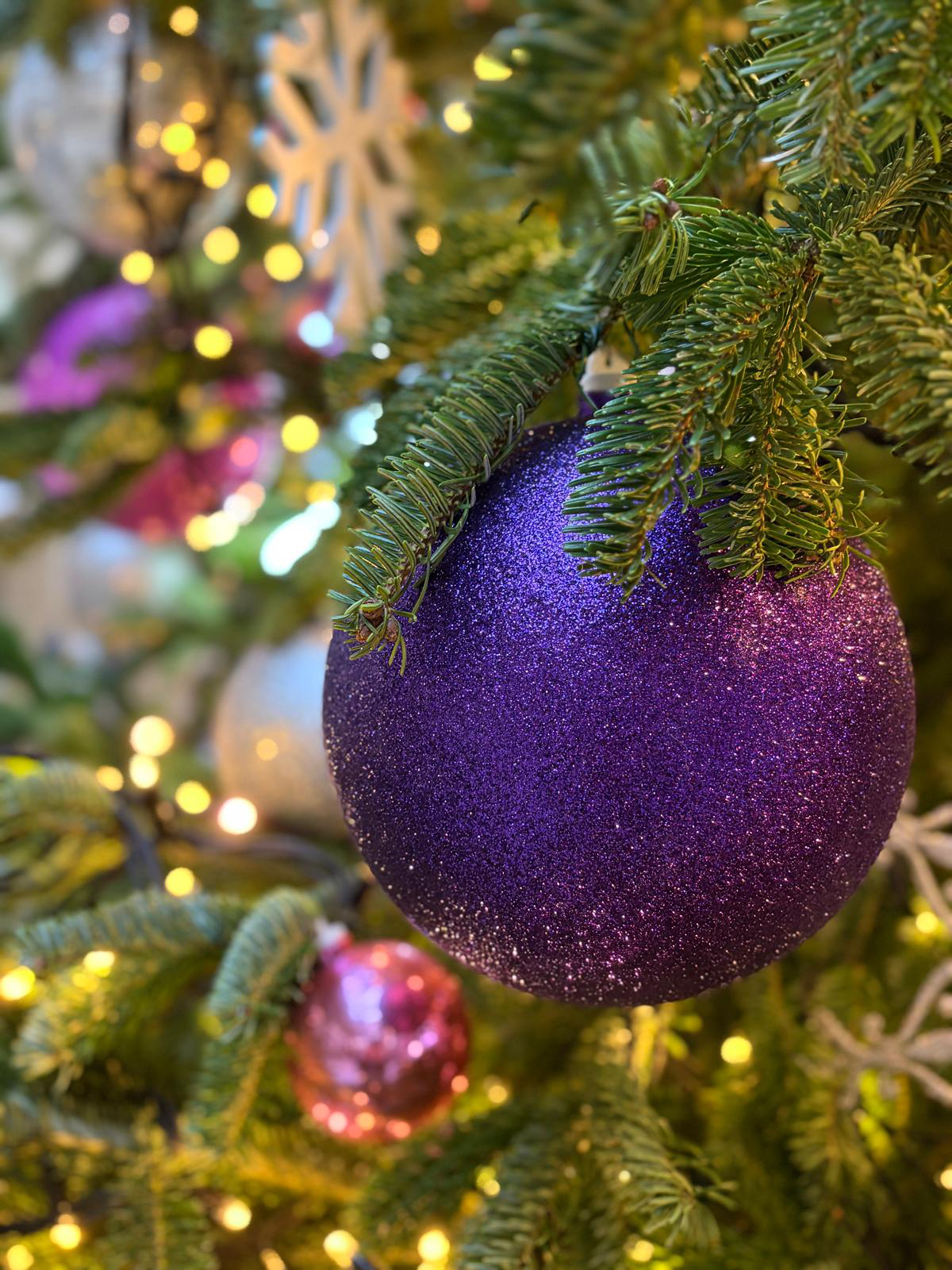 Advent_26