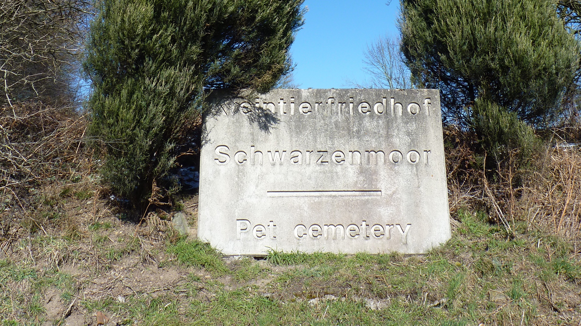 Der Tierfriedhof Schwarzenmoor