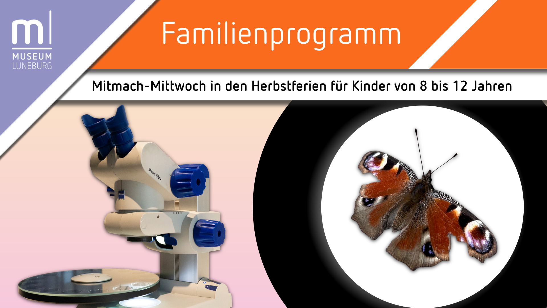Mitmach-Mittwoch "Mikroskopier-Workshop" - Kleine Wunder ganz groß