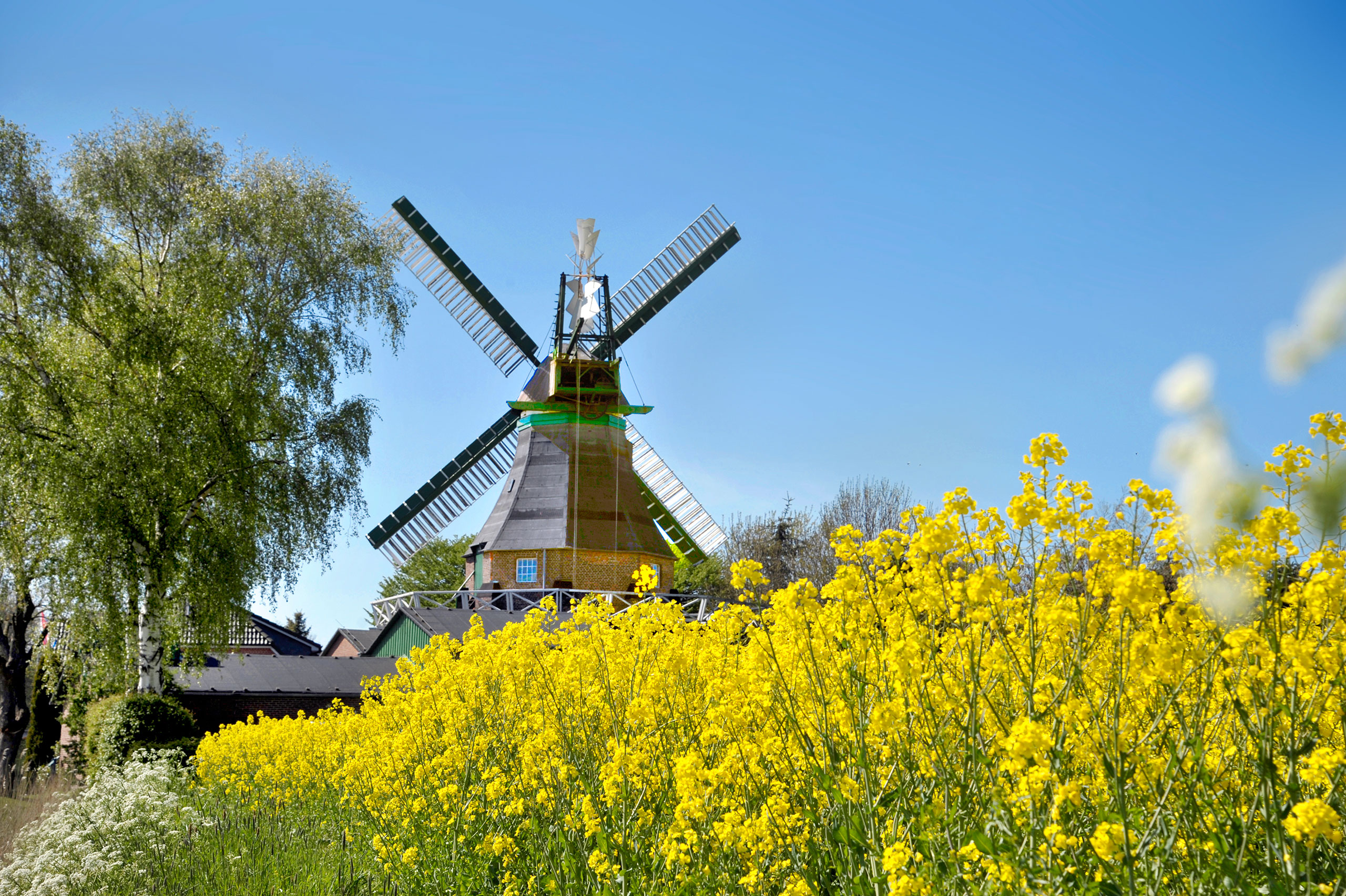Dithmarscher MühlenTour Dithmarschen Tourismus