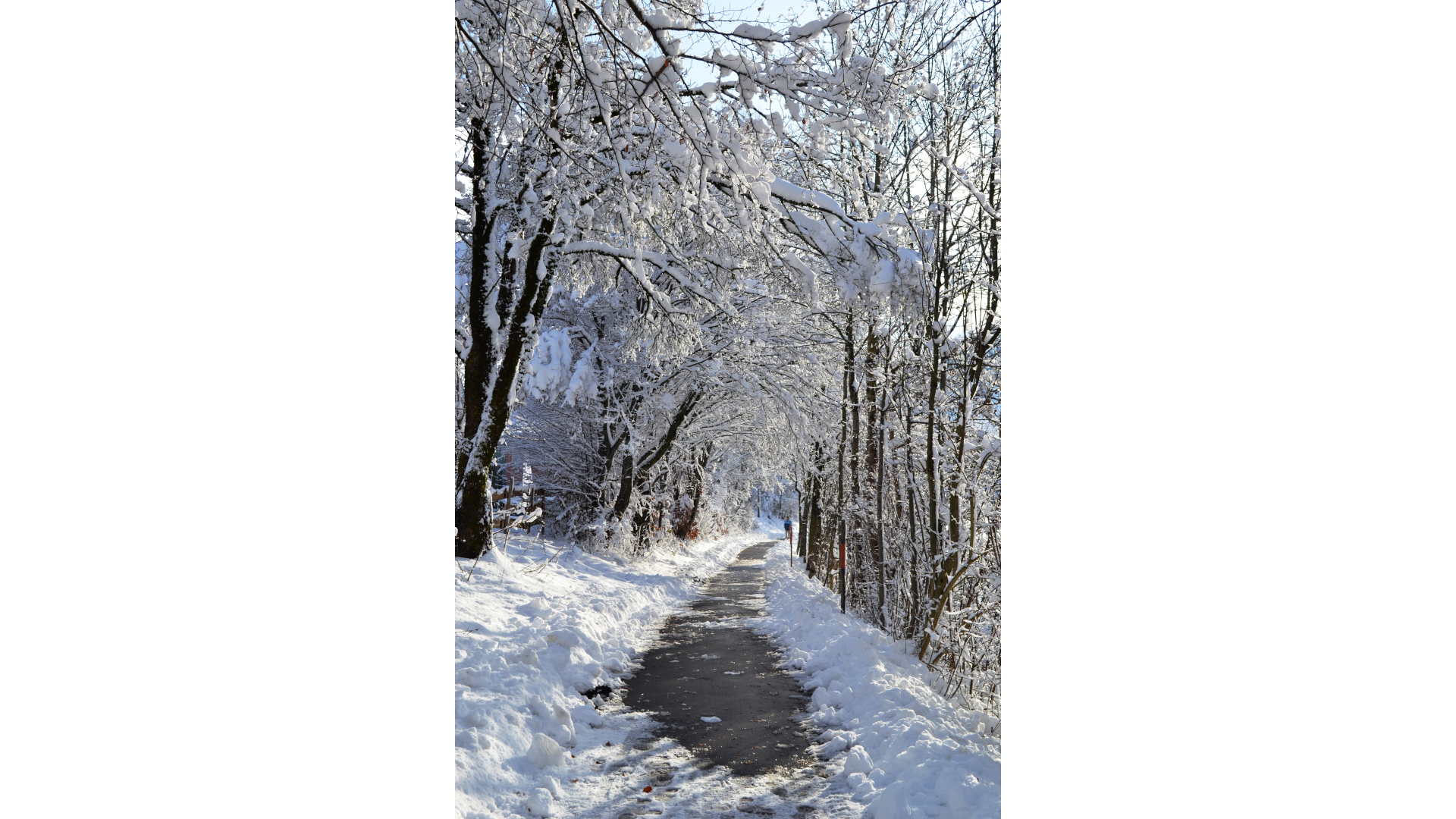Winterwanderweg_Haus-Scheidegg