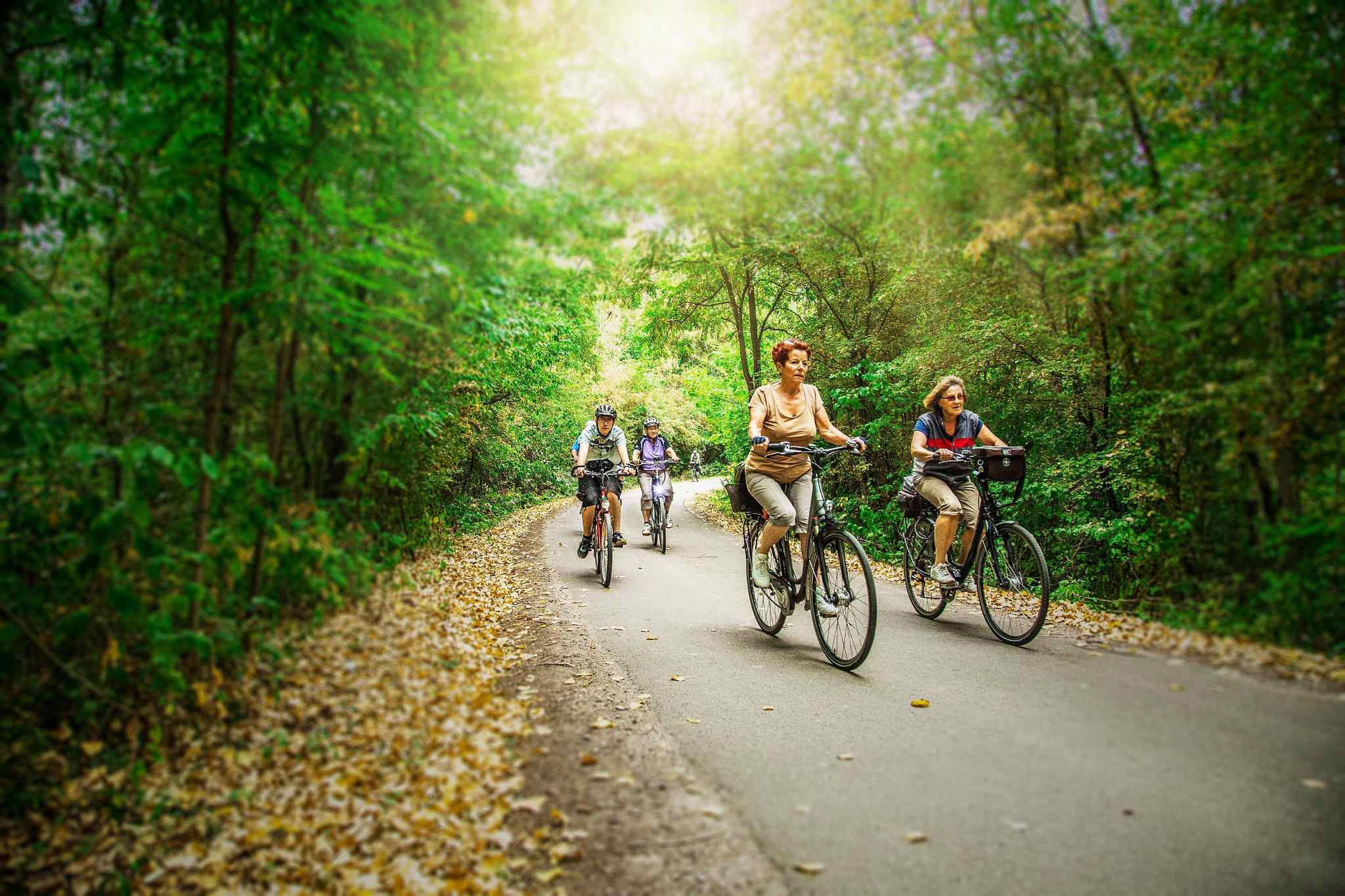 Recarbo Kohle-Rad- und Wanderweg – Motiv