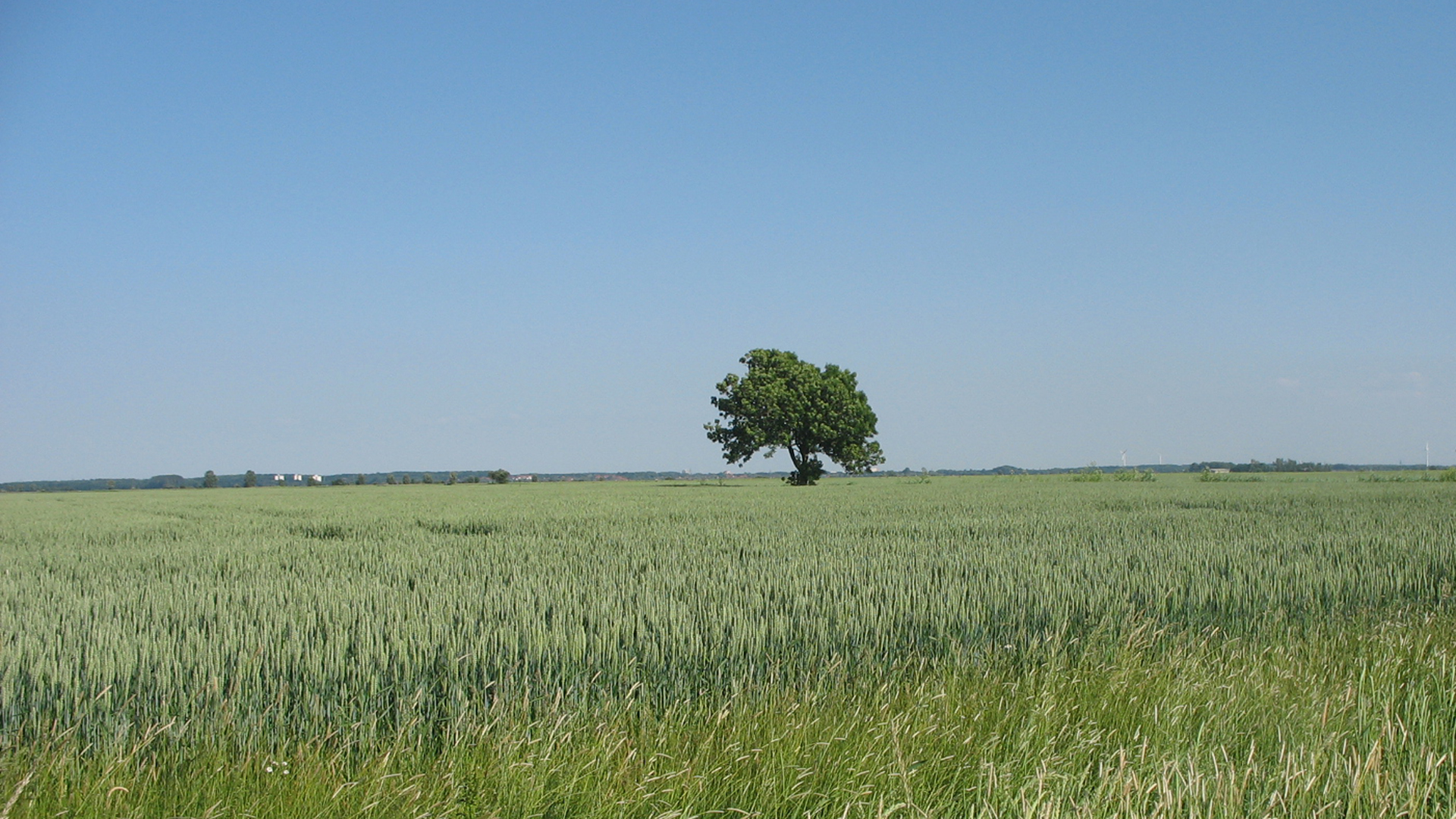 Ähren-Route