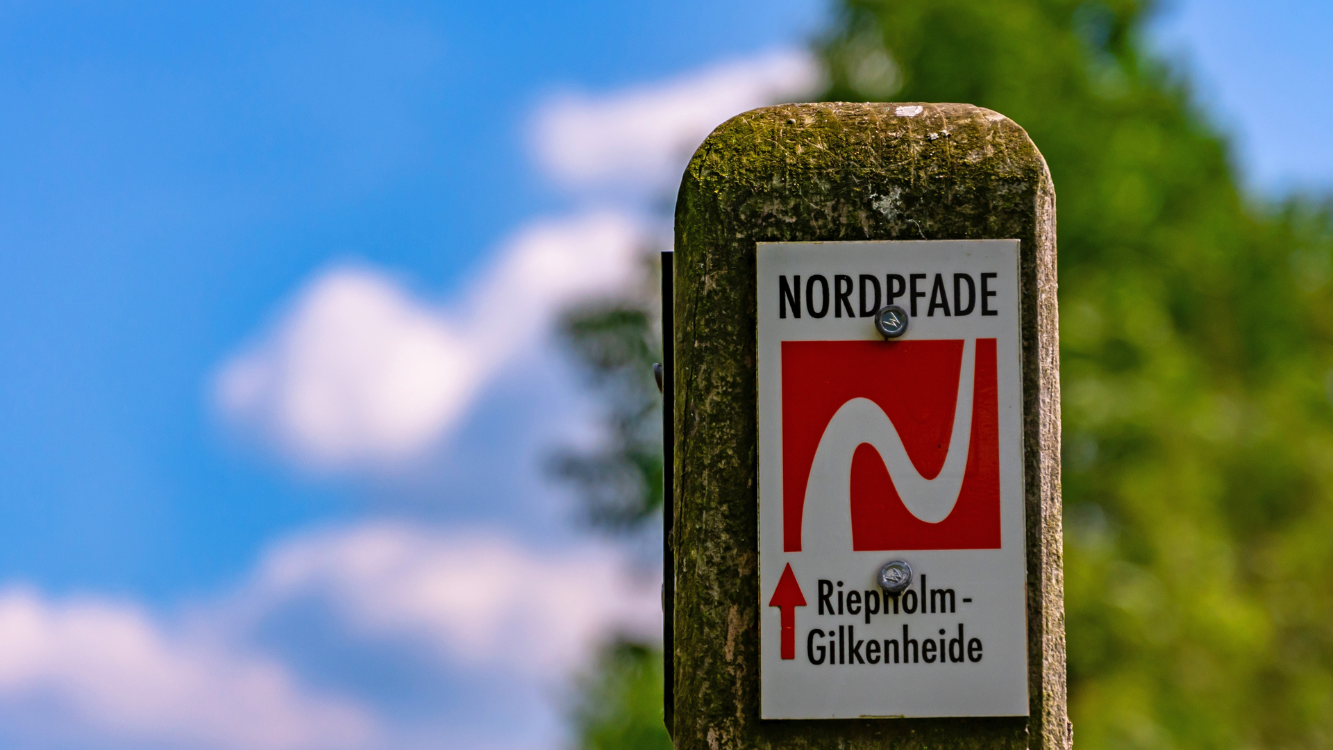 Logo des NORDPFADES Riepholm-Gilkenheide