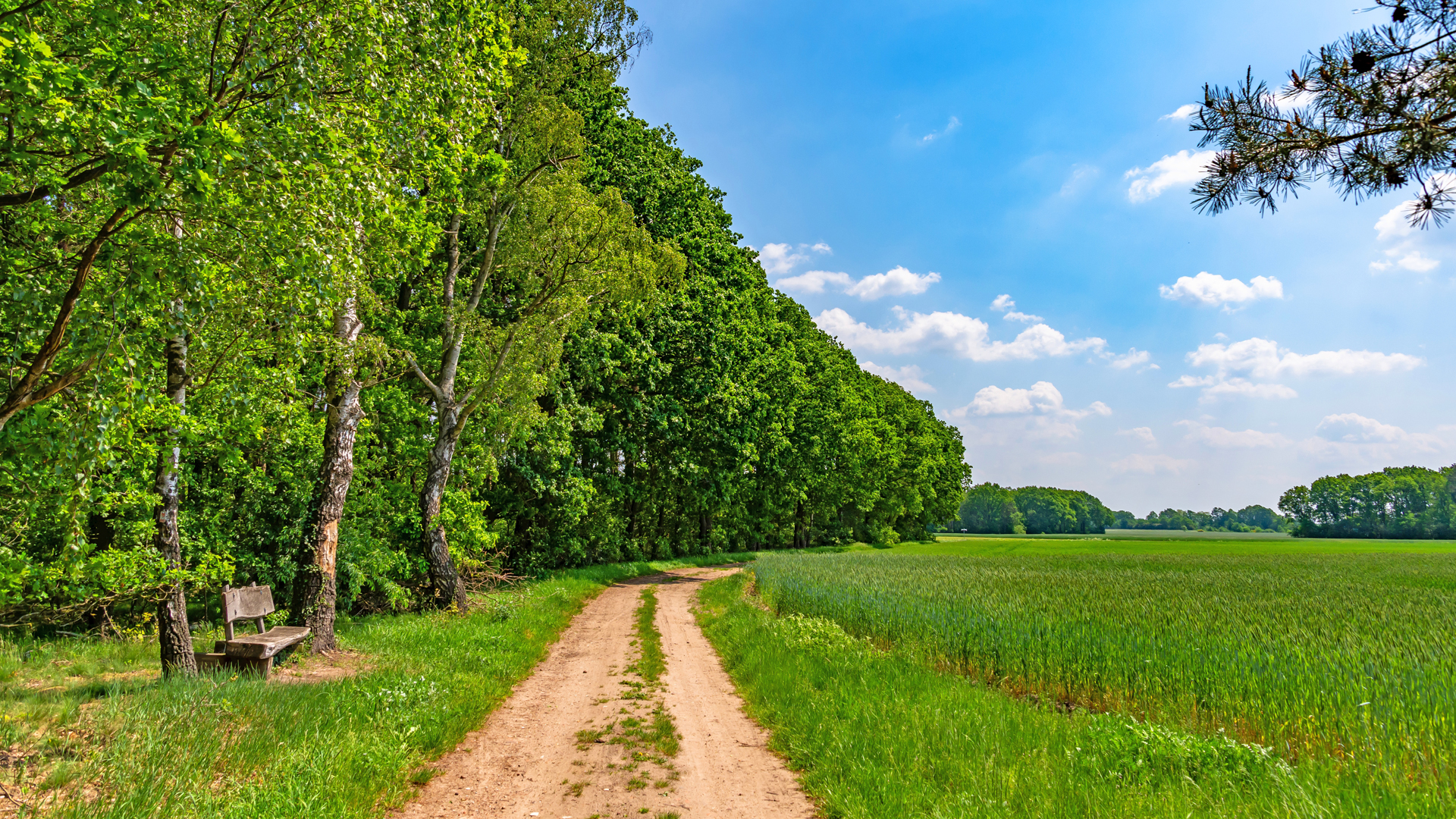NORDPFAD Riepholm-Gilkenheide