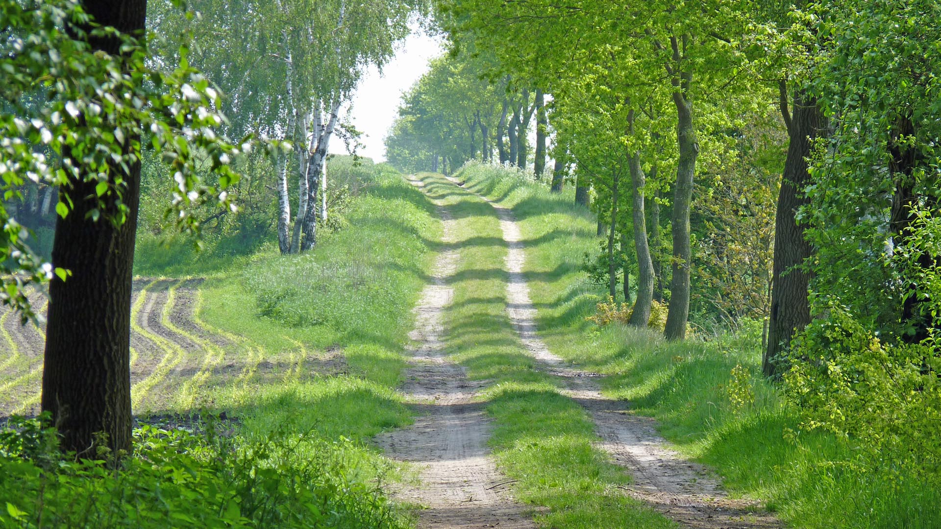 NORDPFAD Tarmstedter Moor