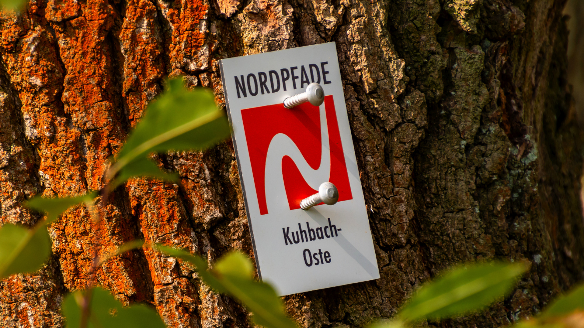 Das Logo vom NORDPFAD Kuhbach-Oste