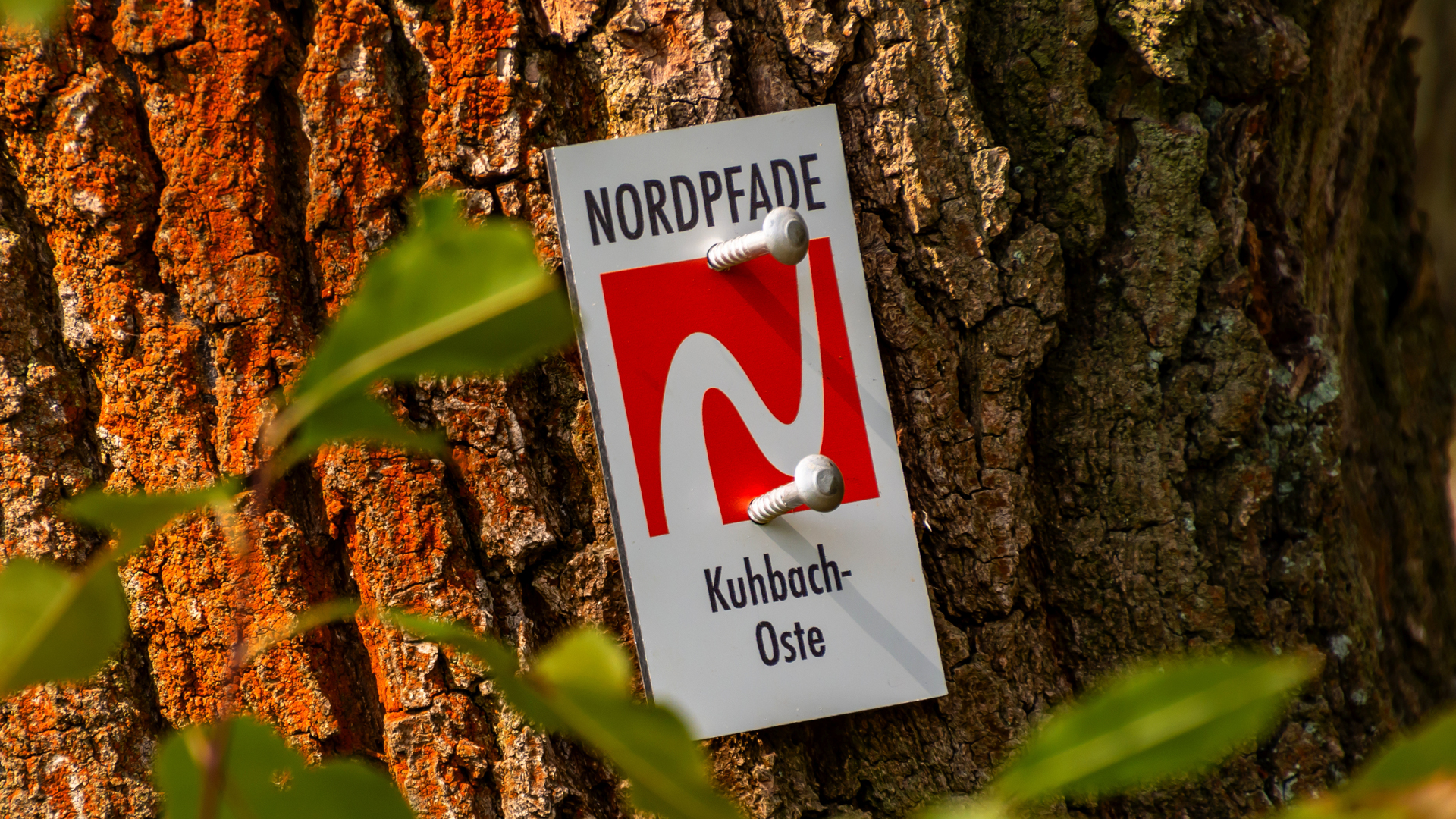 Markierungszeichen des NORDPFADES Kuhbach-Oste 