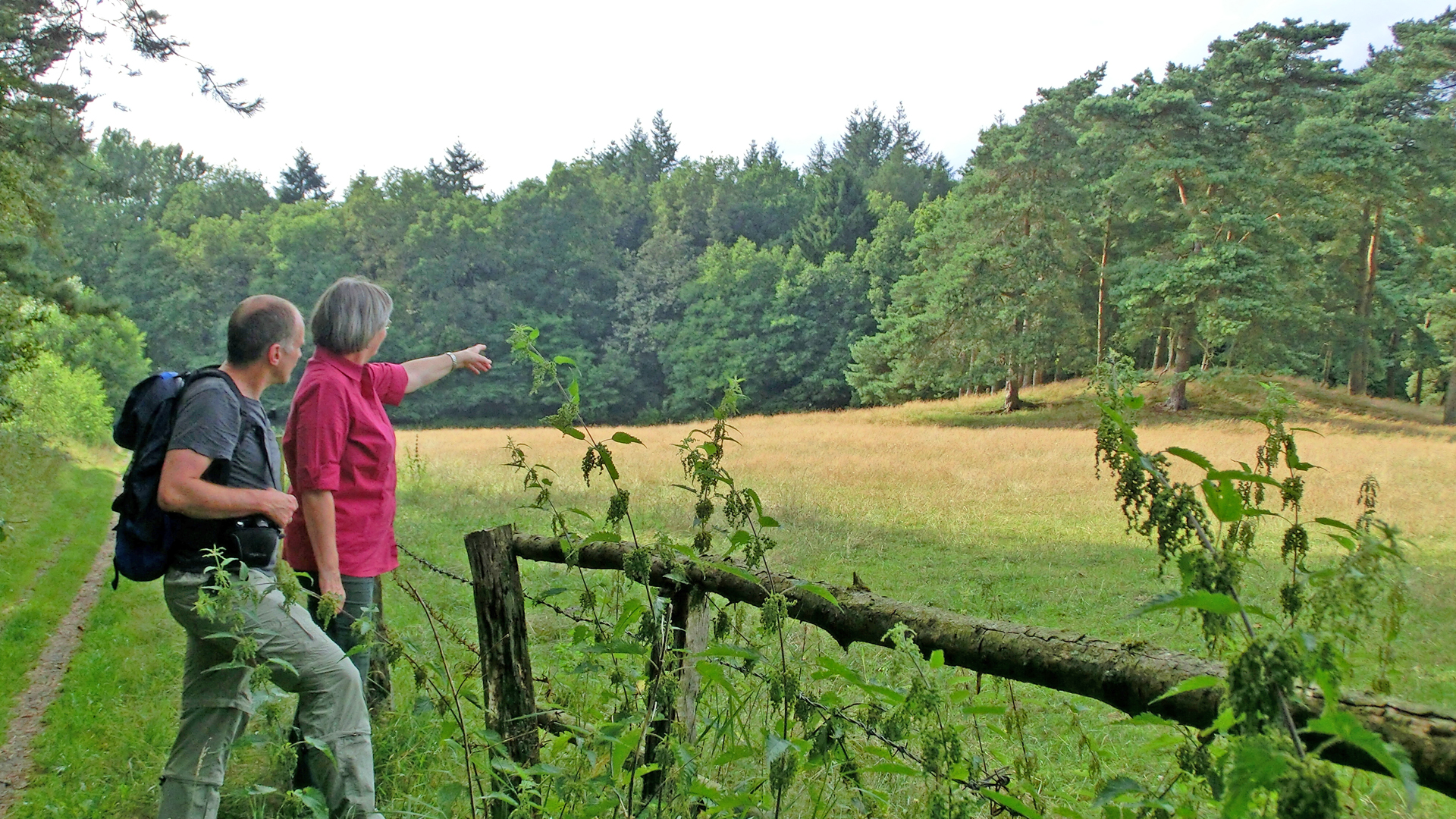Grabhügel Kuhbachtal