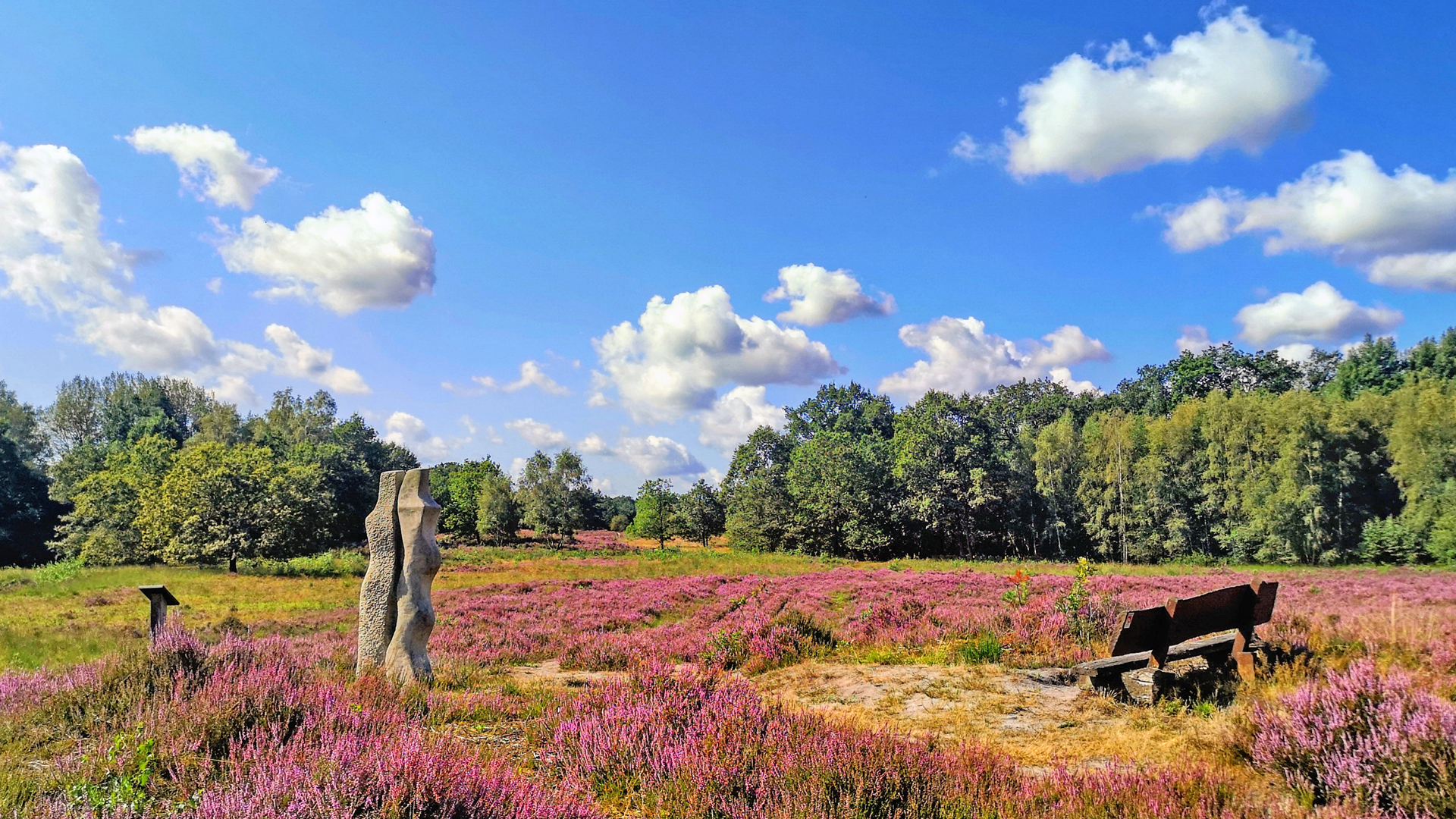 NORDPFAD Wümme und Vareler Heide