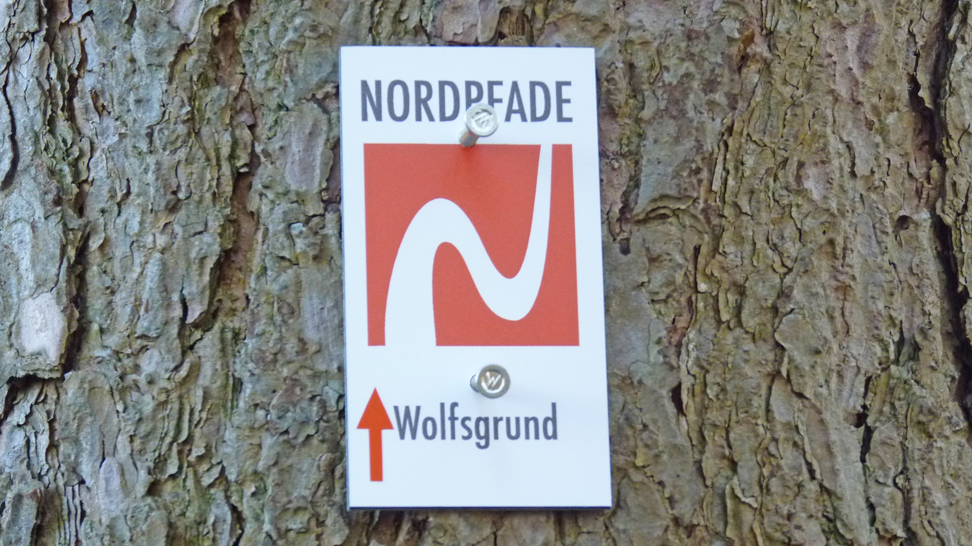Das Logo vom NORDPFAD Wolfsgrund
