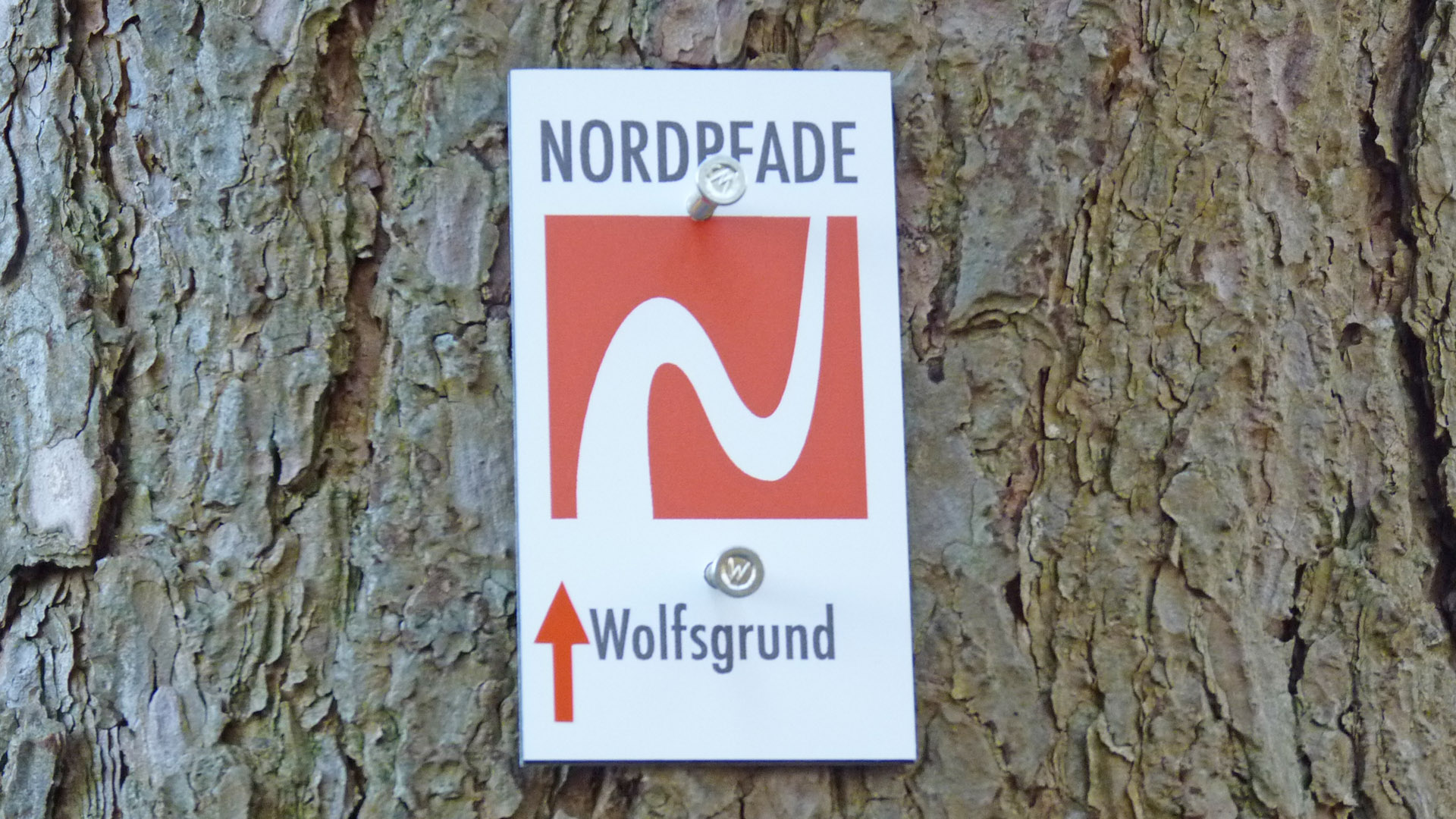 Markierungszeichen und Logo vom NORDPFAD Wolfsgrund