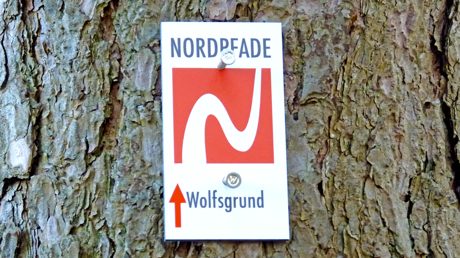 Markierungszeichen und Logo vom NORDPFAD Wolfsgrund