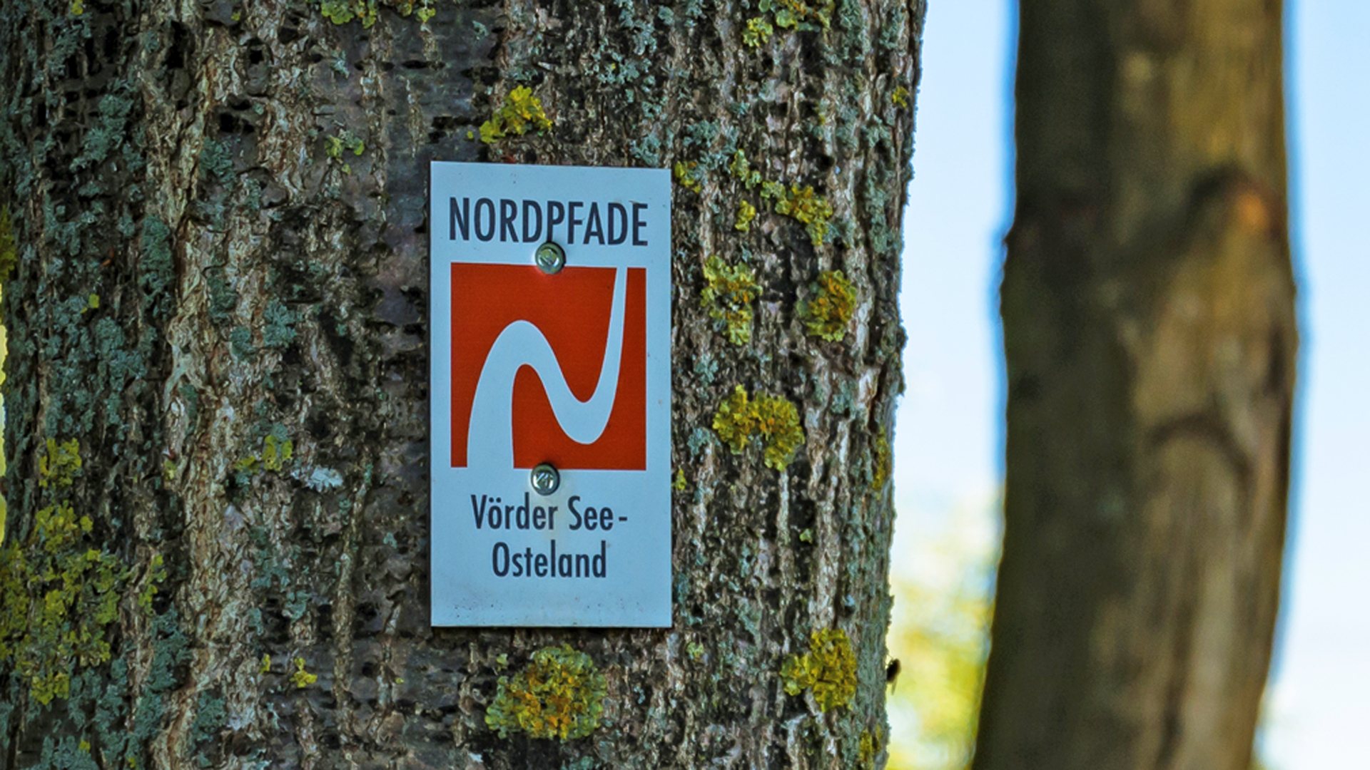 Das Markierungszeichen vom NORDPFAD Vörder See und Osteland