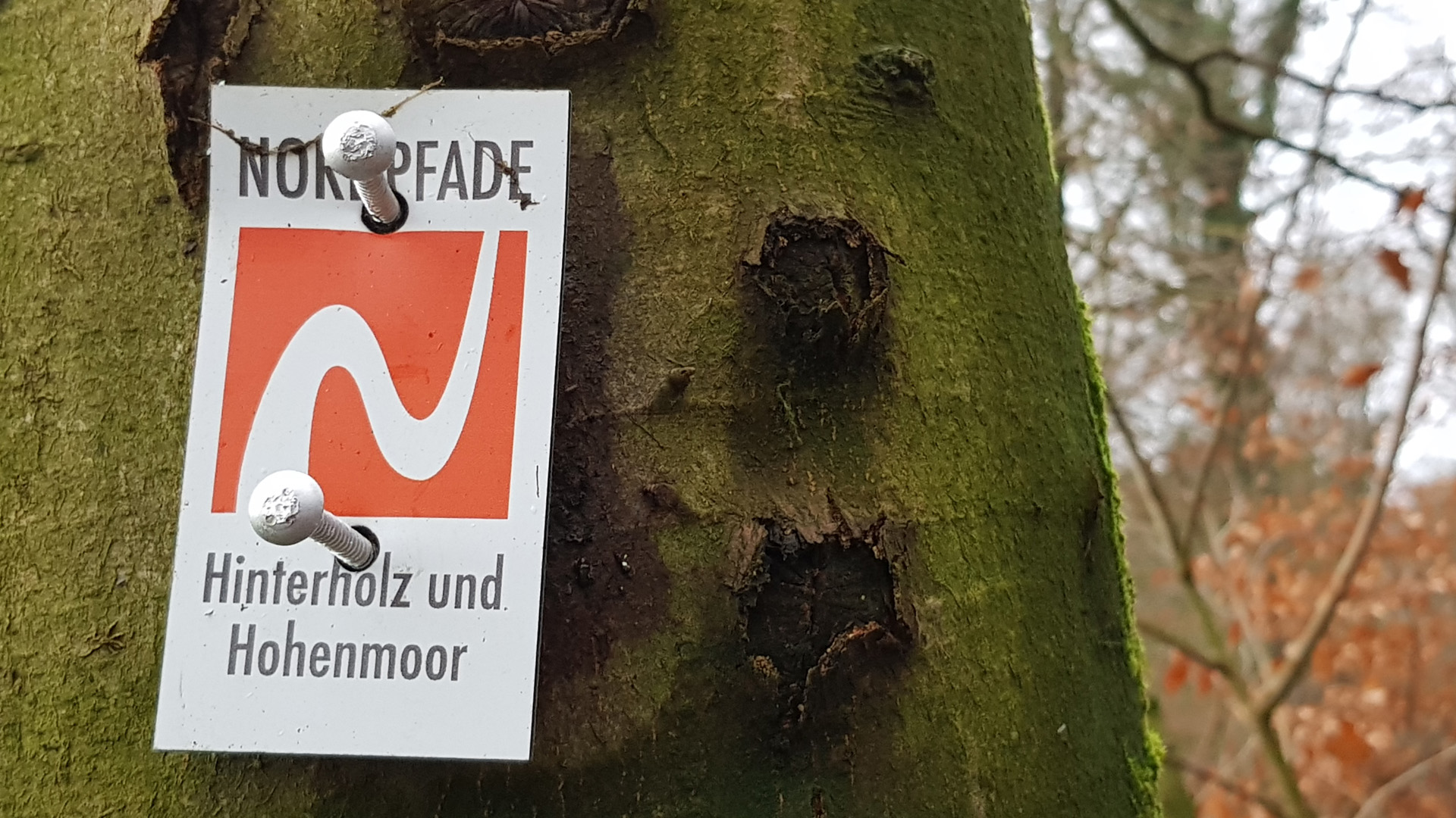 Markierungszeichen des NORDPFADES Hinterholz und Hohenmoor