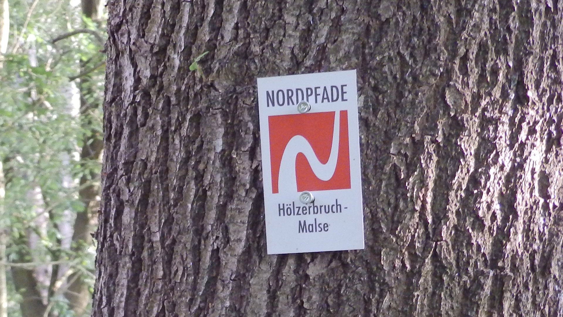 Markierungszeichen vom NORDPFAD Hölzerbruch - Malse