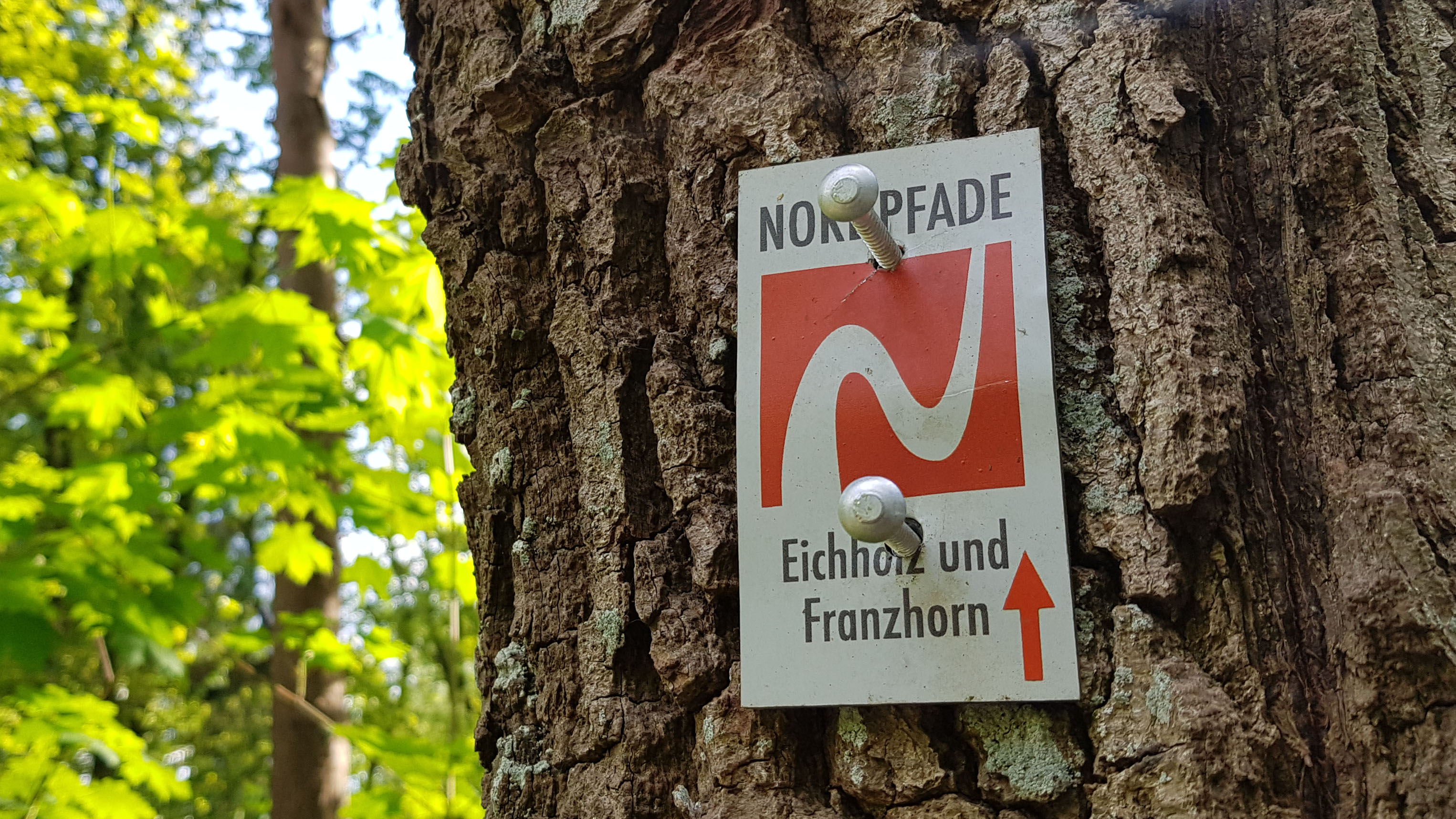 Markierungszeichen vom NORDPFAD Eichholz und Franzhorn