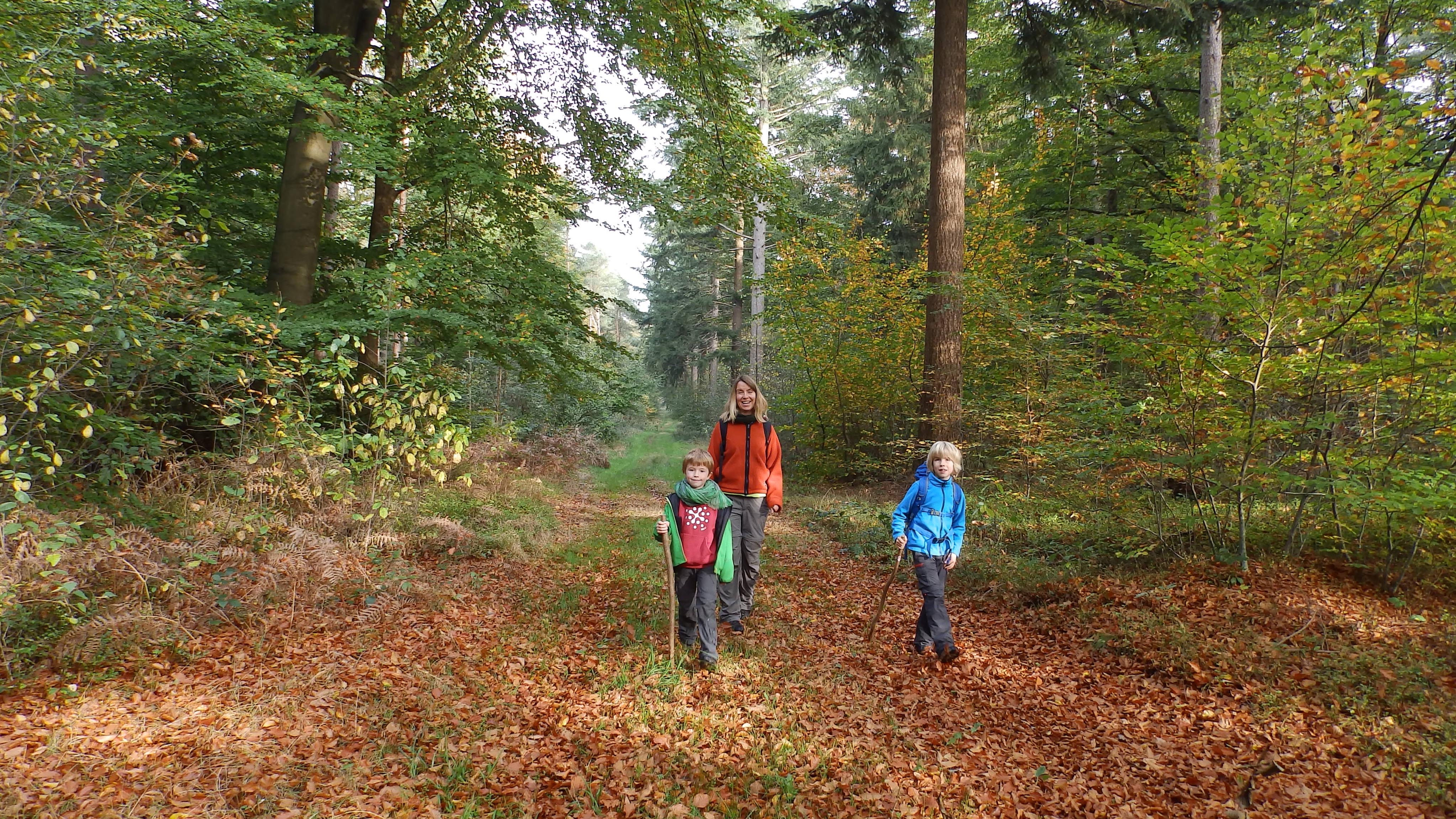 NORDPFAD Eichholz und Franzhorn