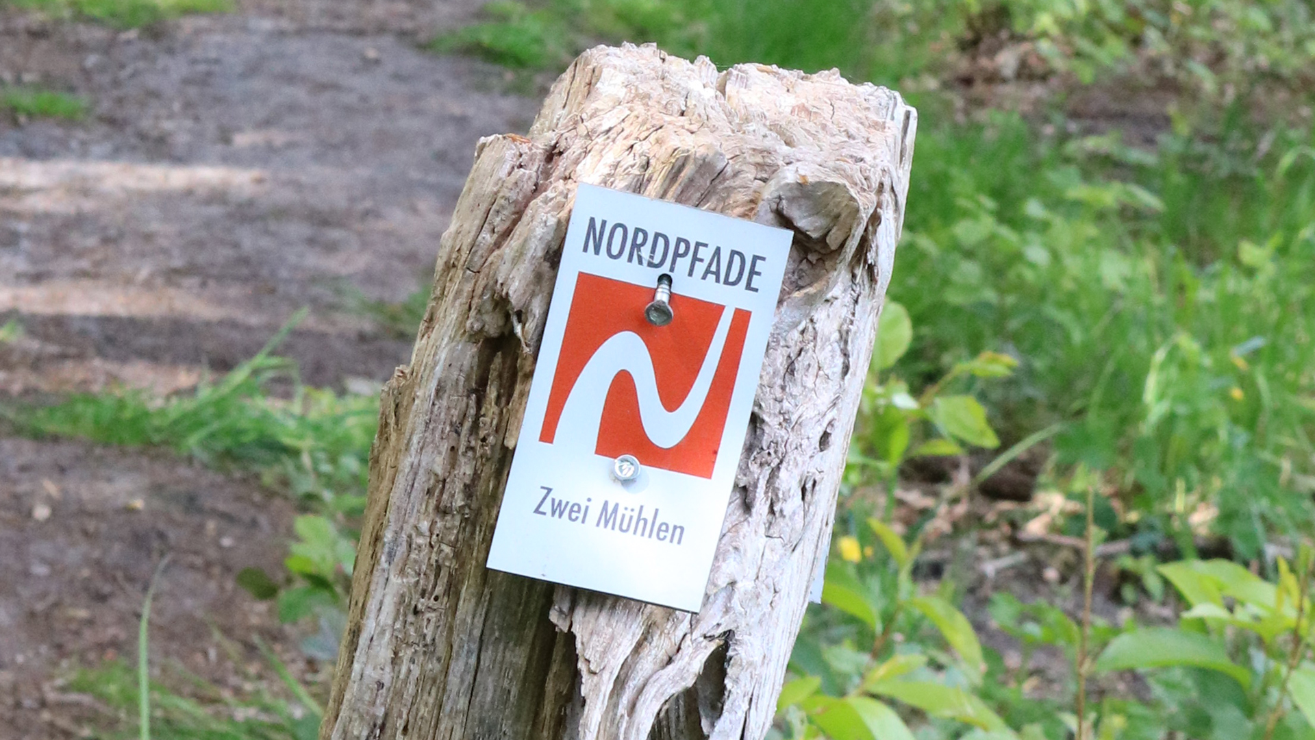Markierungszeichen des NORDPFADES Zwei Mühlen