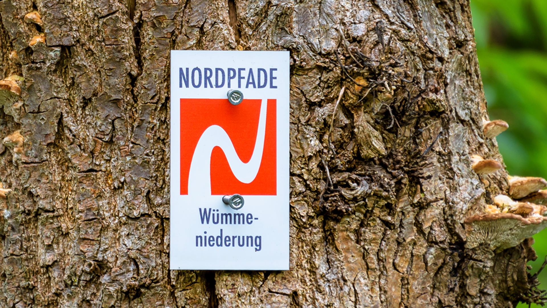 Markierungszeichen des NORDPFADES Wümmeniederung