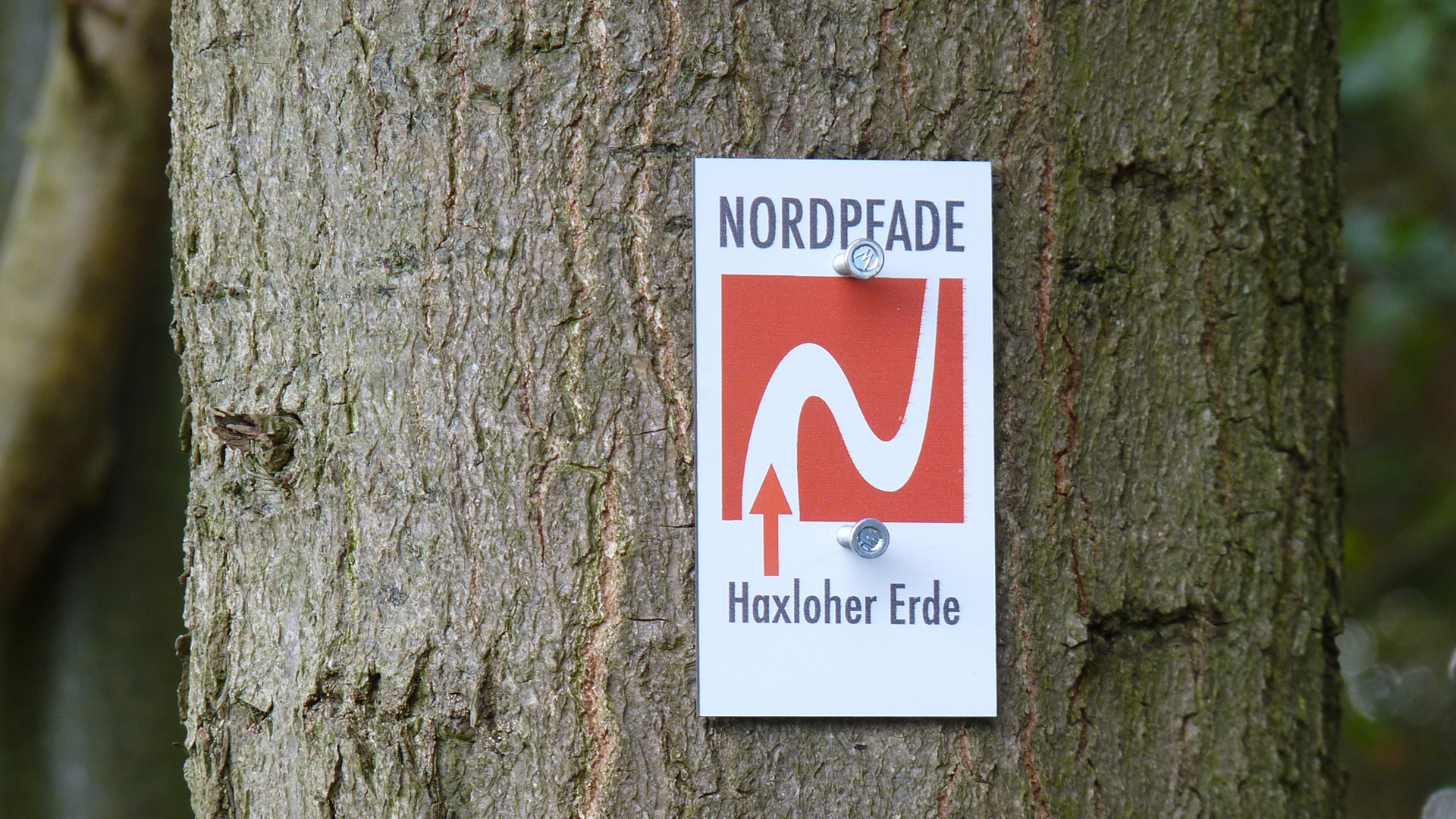 Markierungszeichen vom NORDPFAD Haxloher Erde
