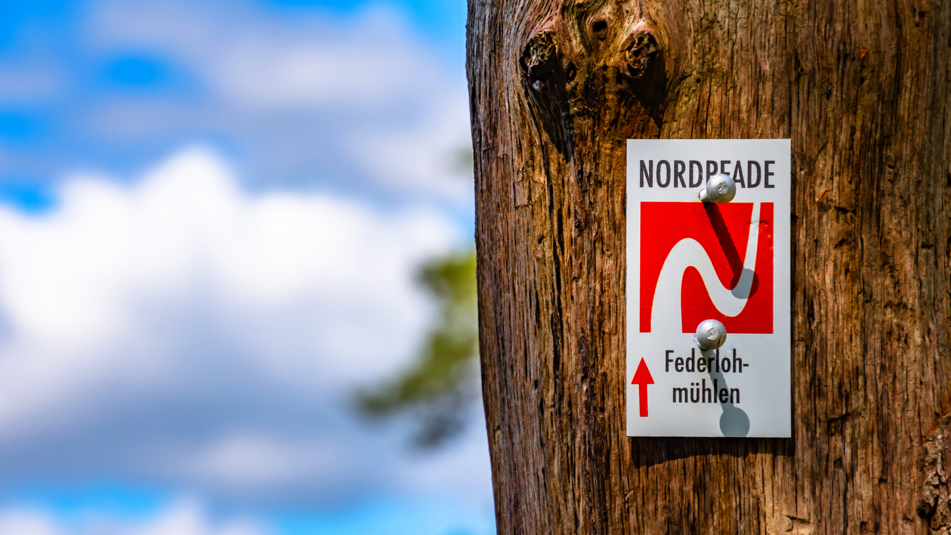 Markierungszeichen des NORDPFADES Federlohmühlen