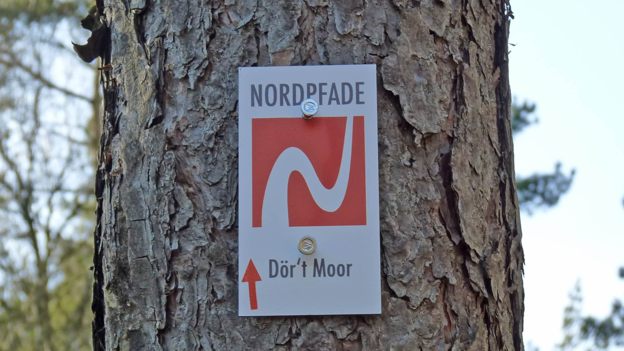 Das Logo und Markierungszeichen vom NORDPFAD Dör´t Moor