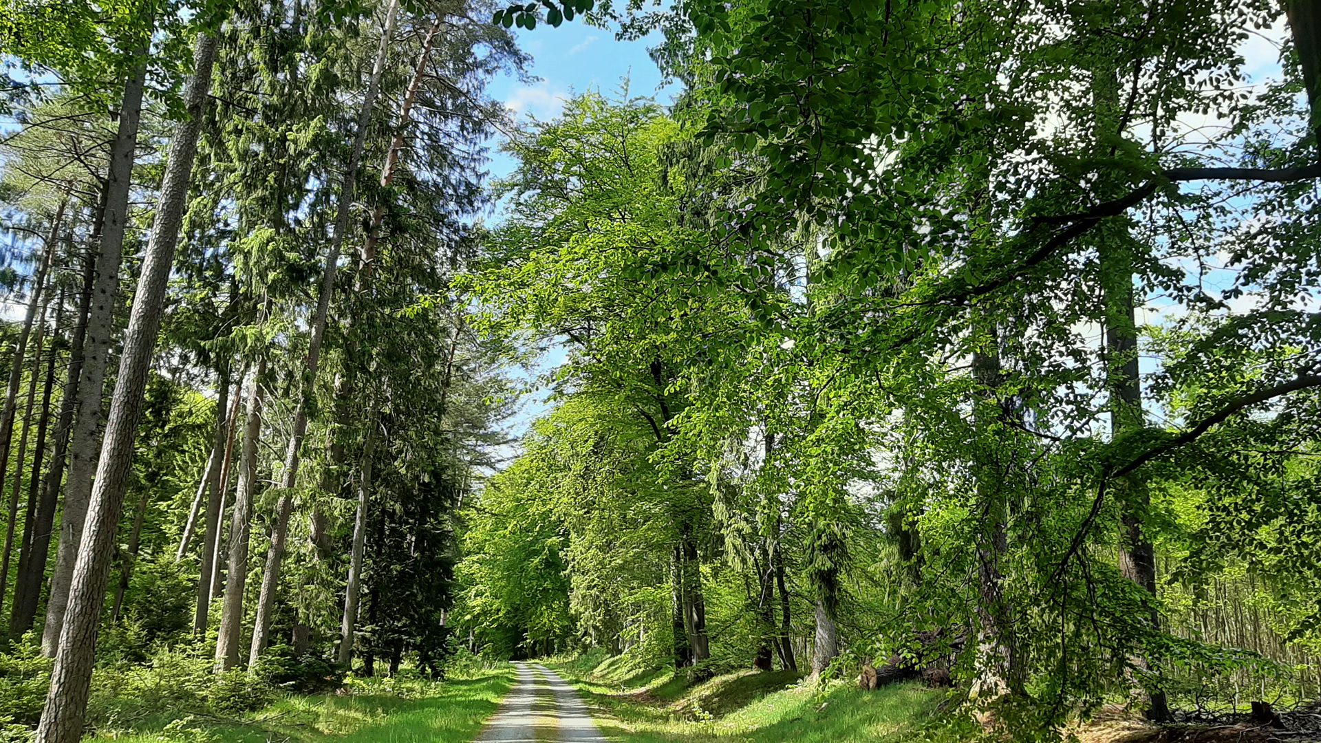 NORDPFAD Hinzel
