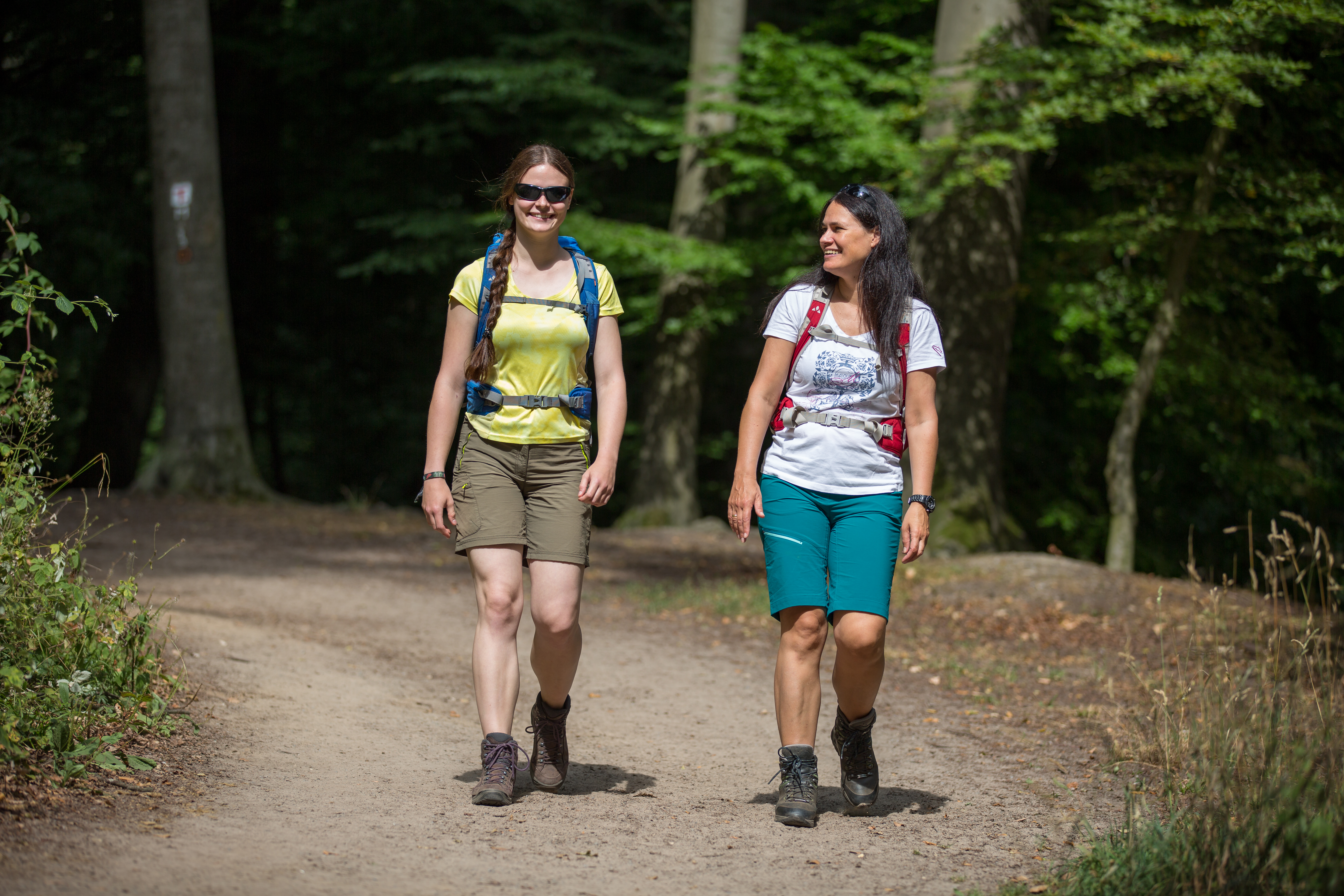 TERRA.track Geologischer Lehrpfad