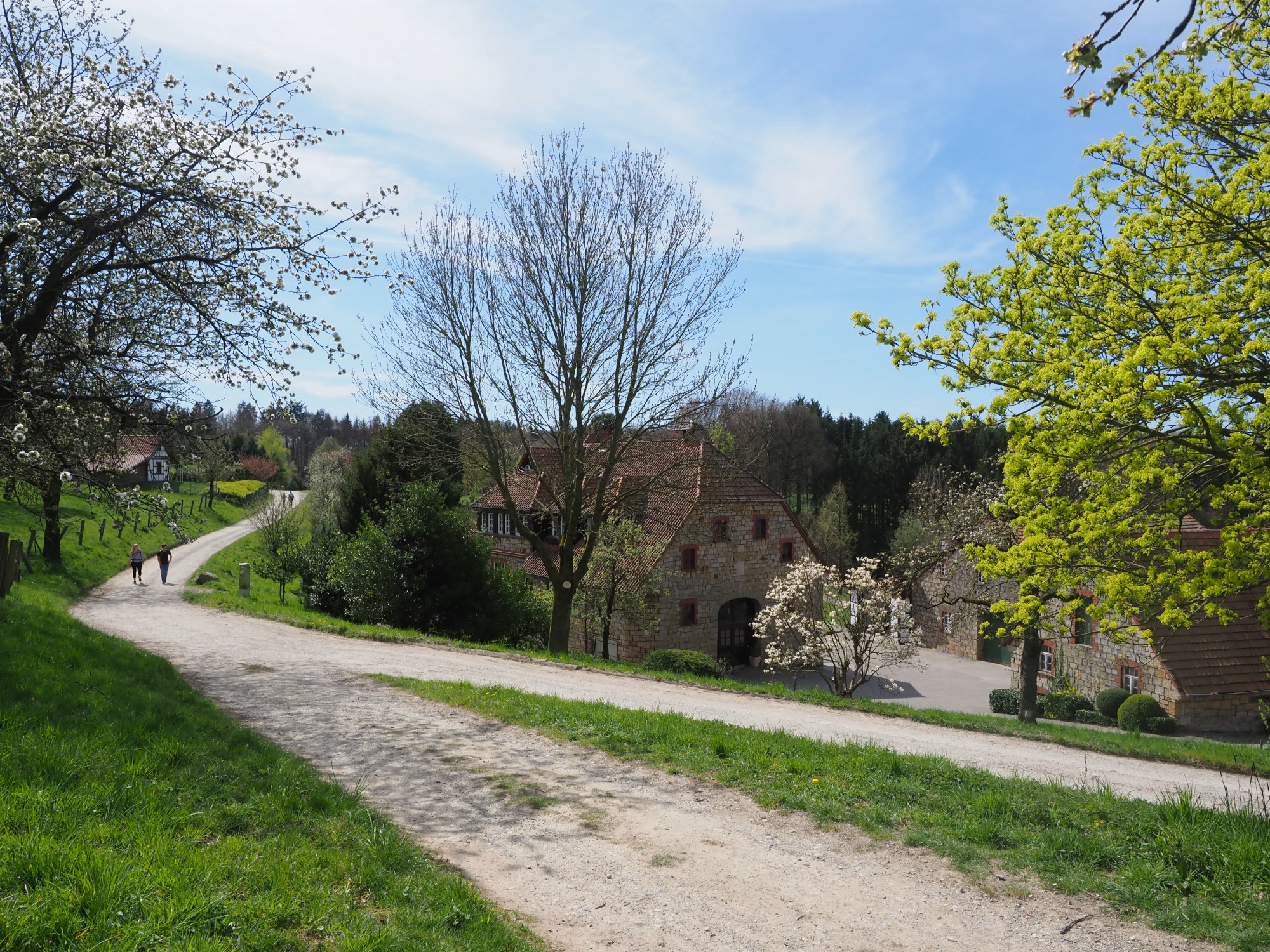 TERRA.track Borgberg