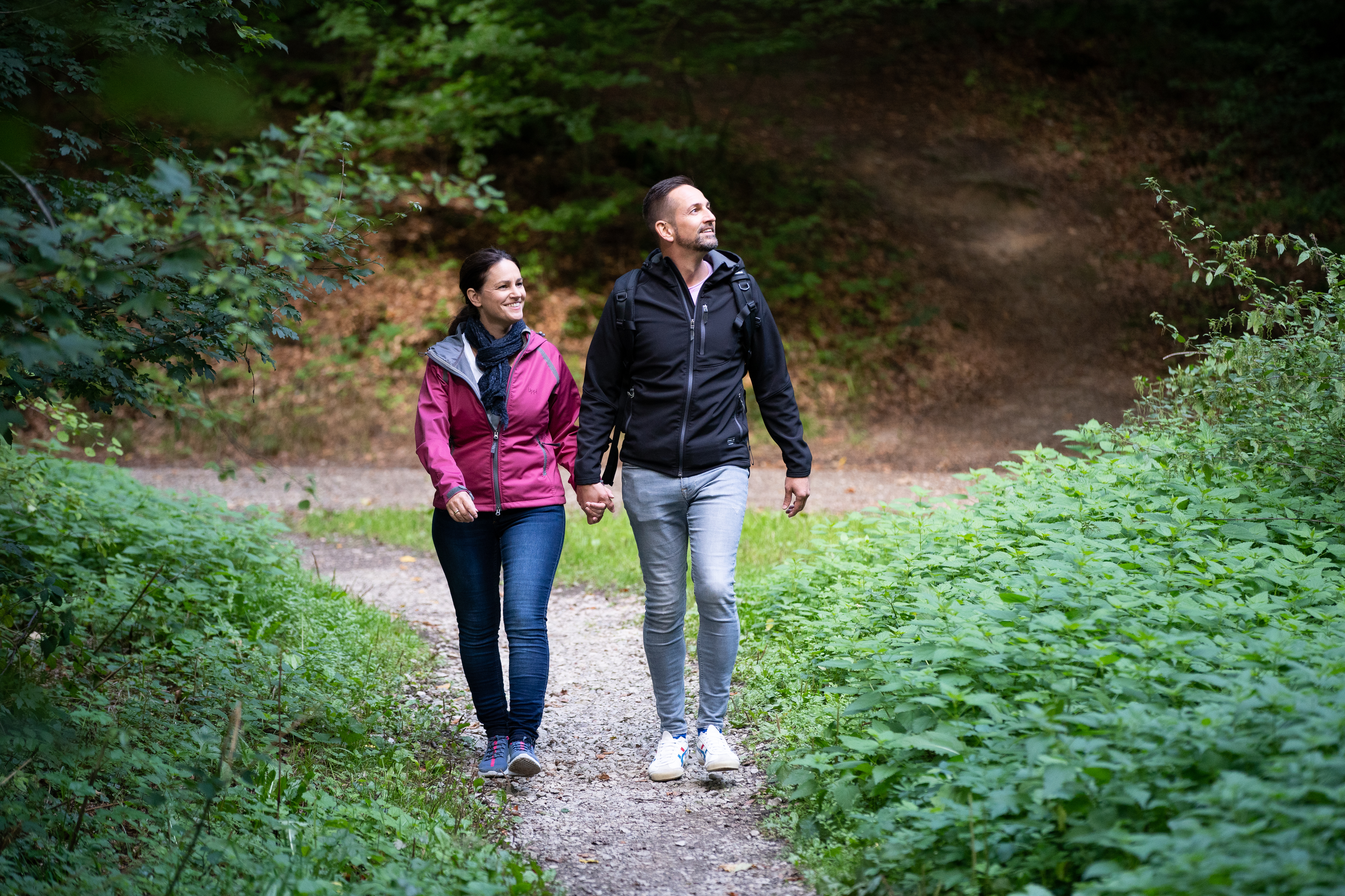 TERRA.track Limberg und Zeppelinstein 